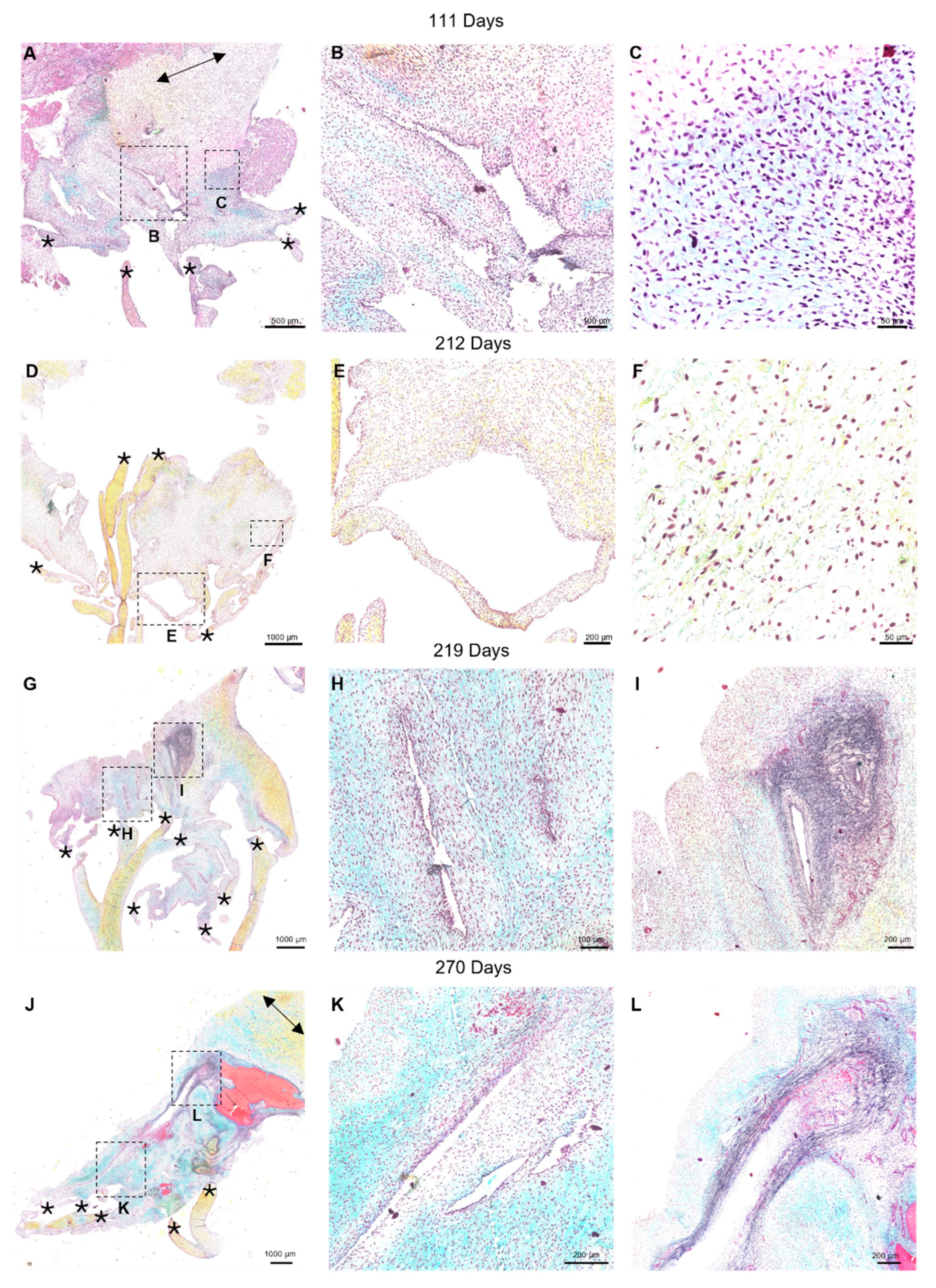 Preprints 120516 g005