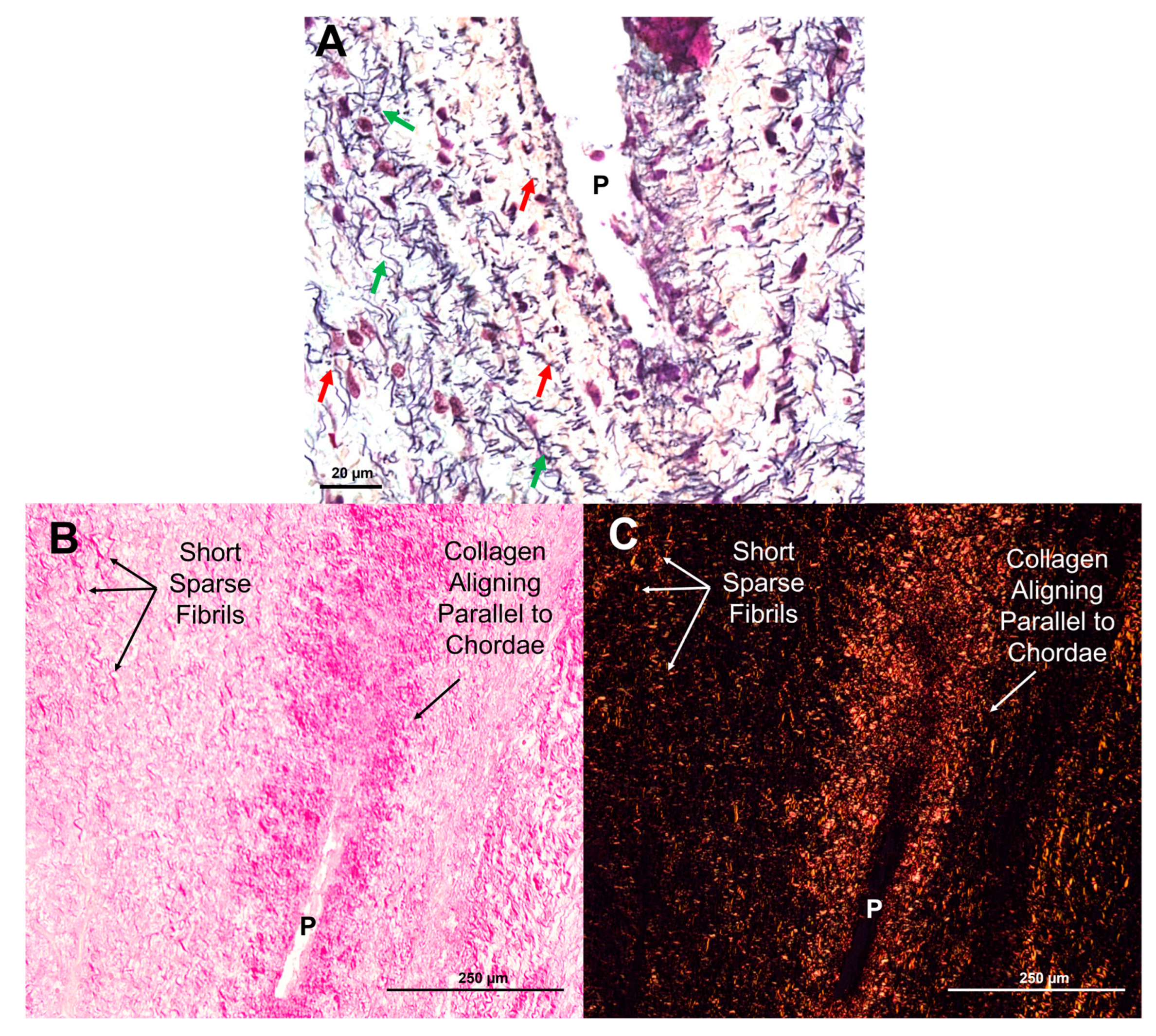 Preprints 120516 g006