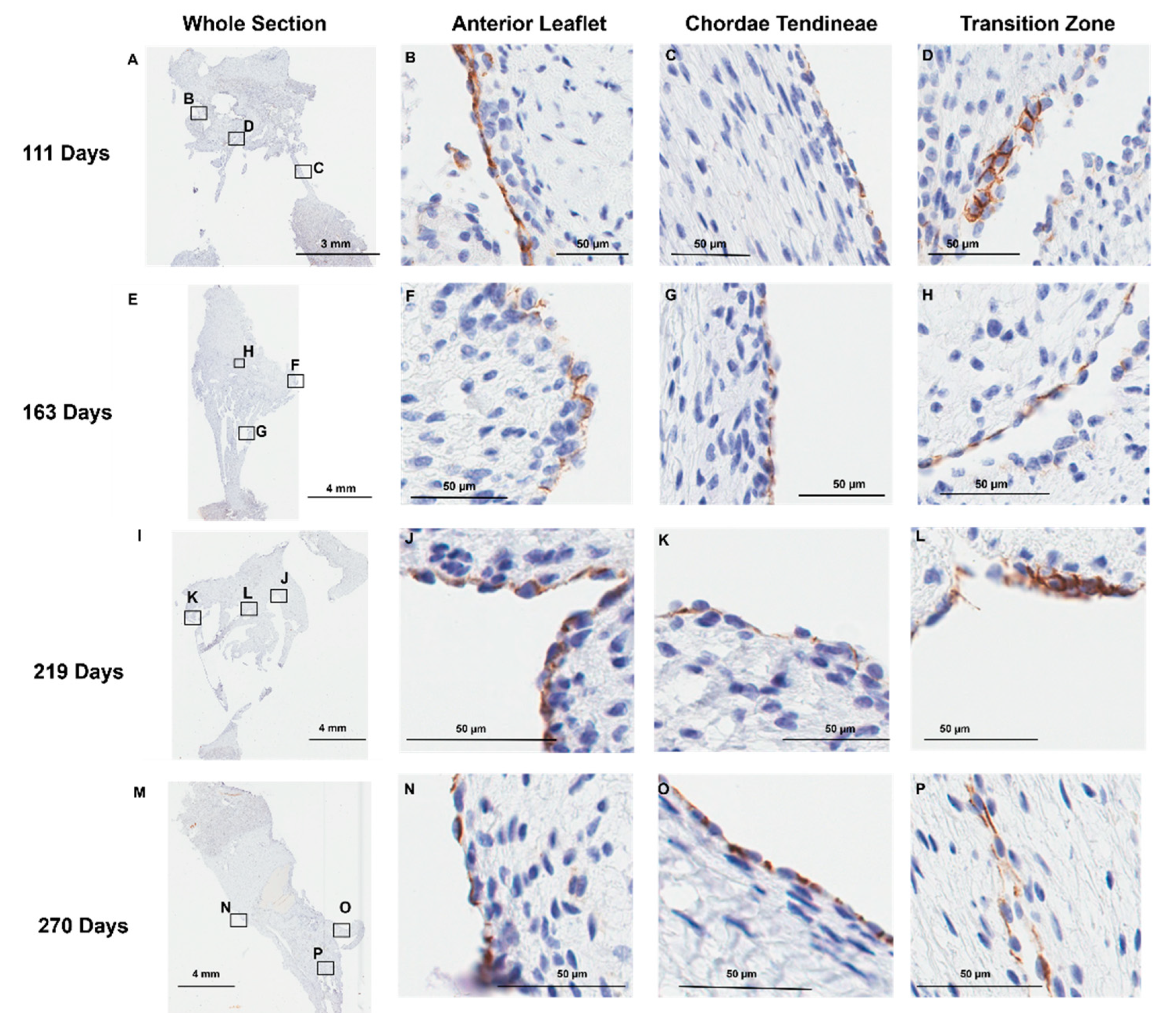 Preprints 120516 g007