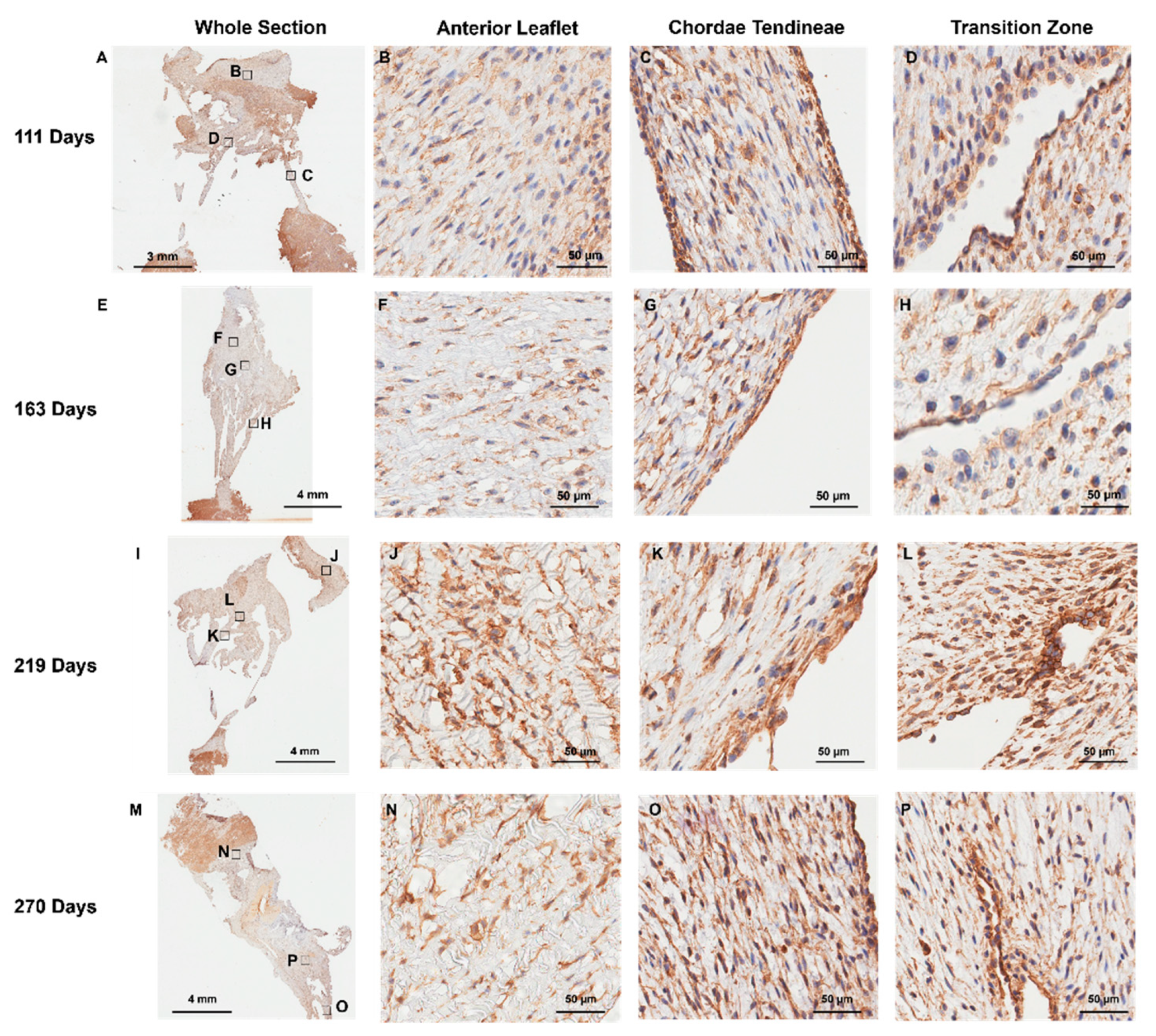 Preprints 120516 g008