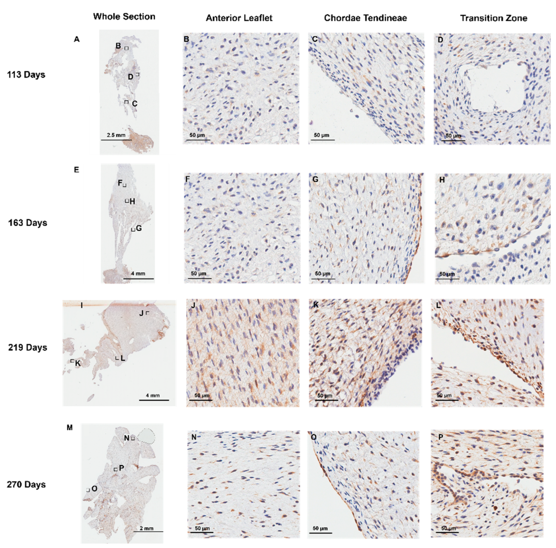 Preprints 120516 g009