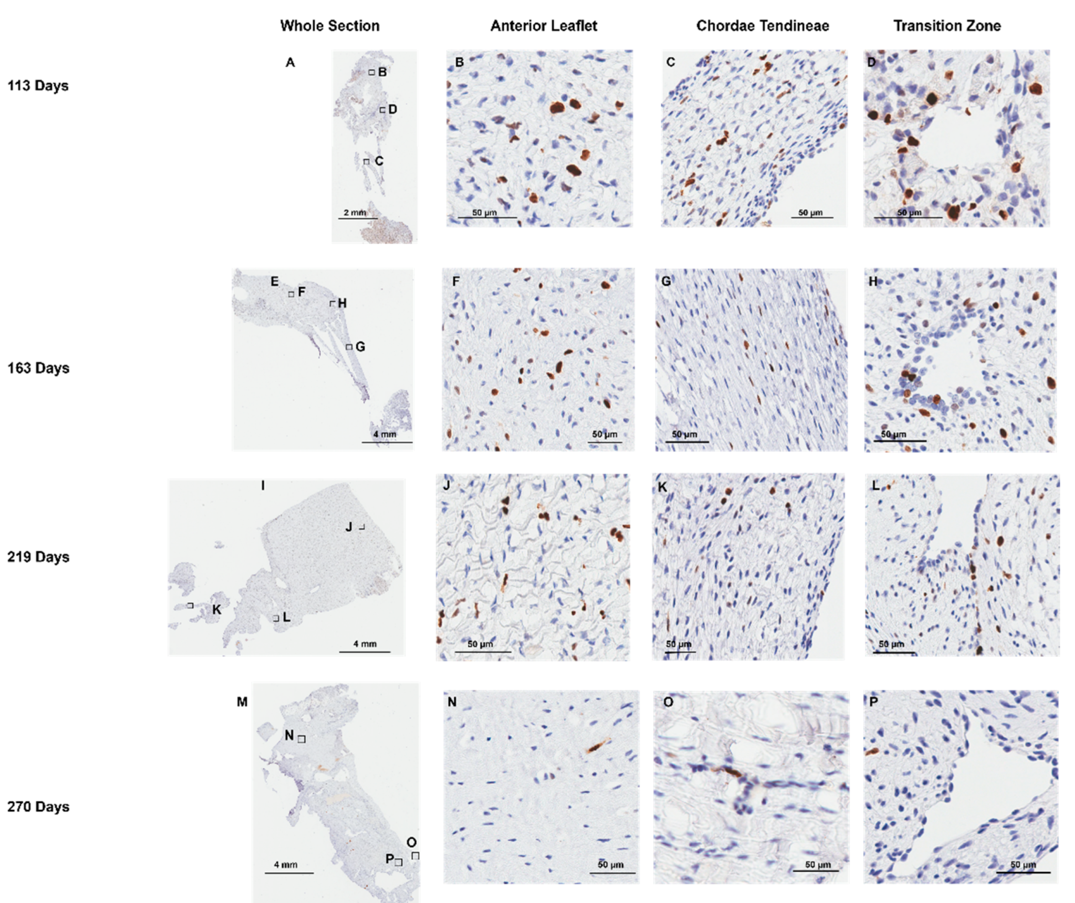 Preprints 120516 g010