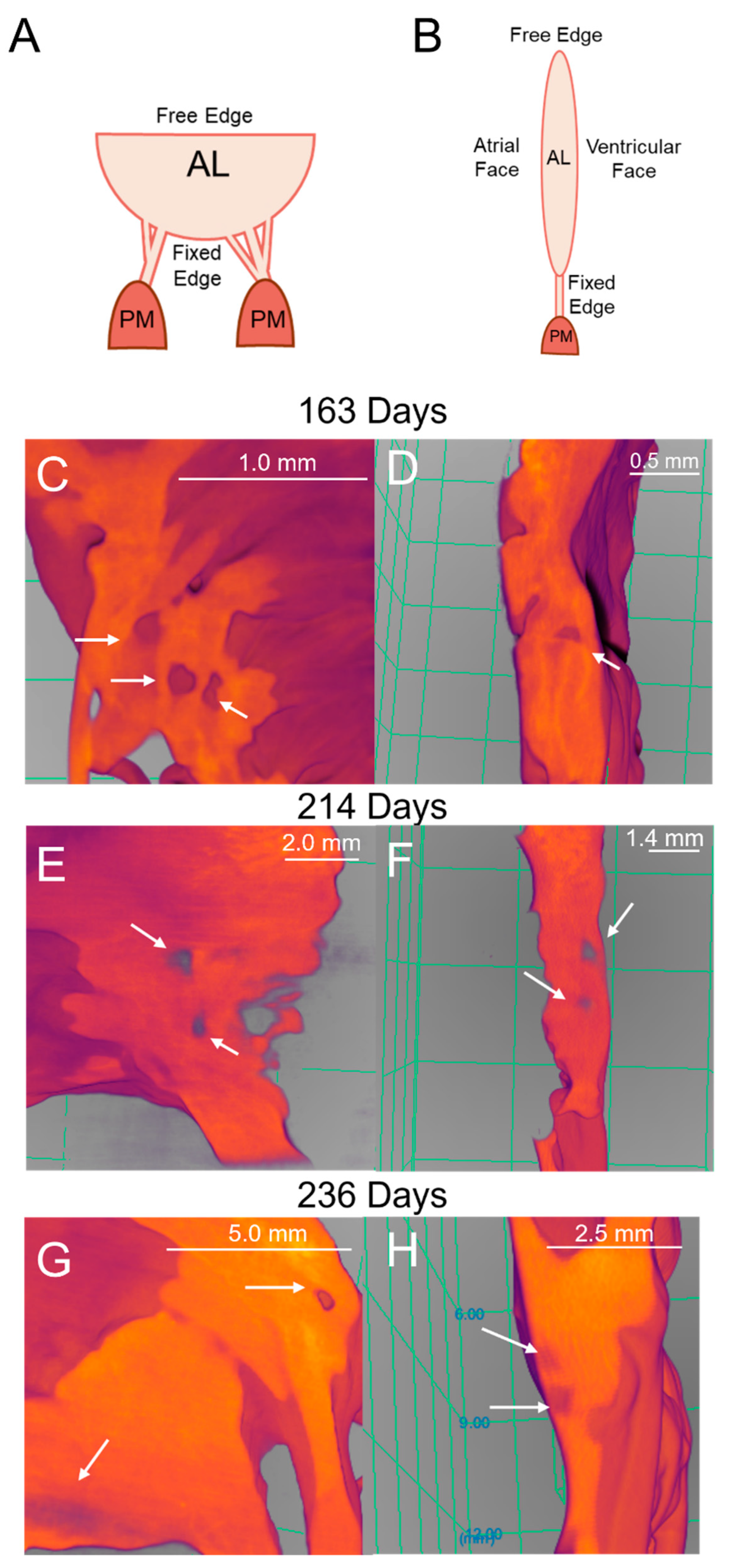 Preprints 120516 g013