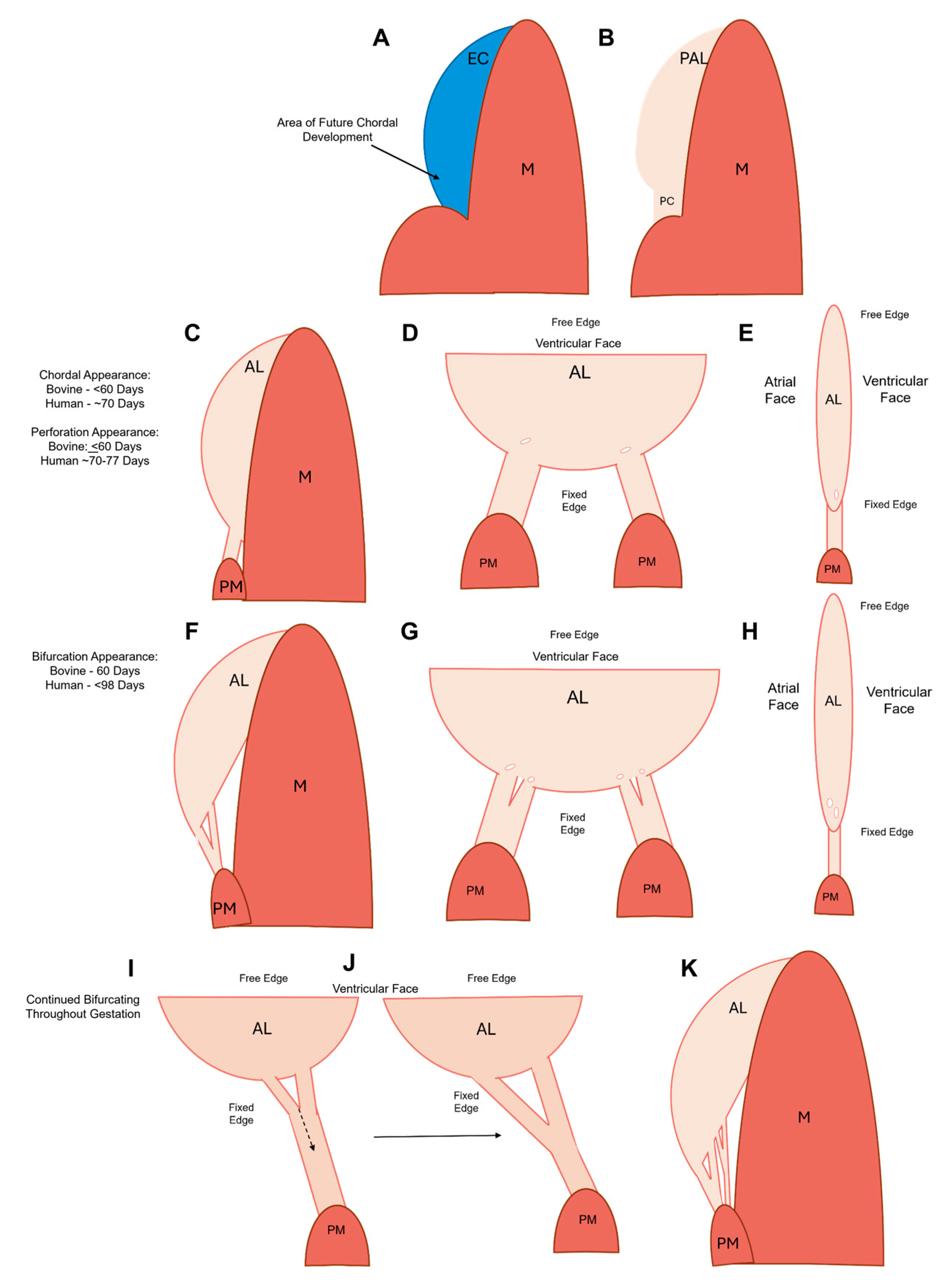 Preprints 120516 g019