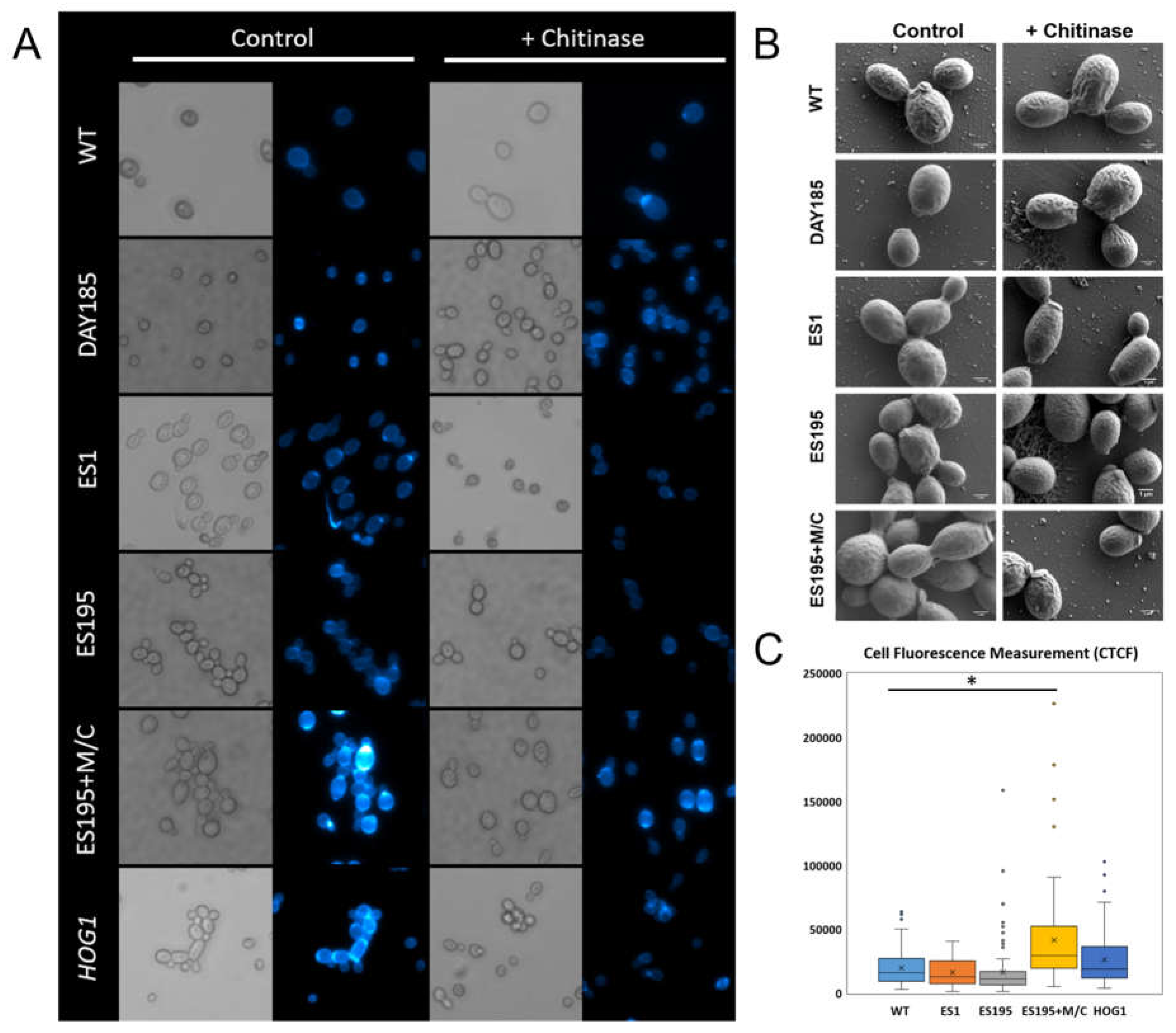 Preprints 109267 g001