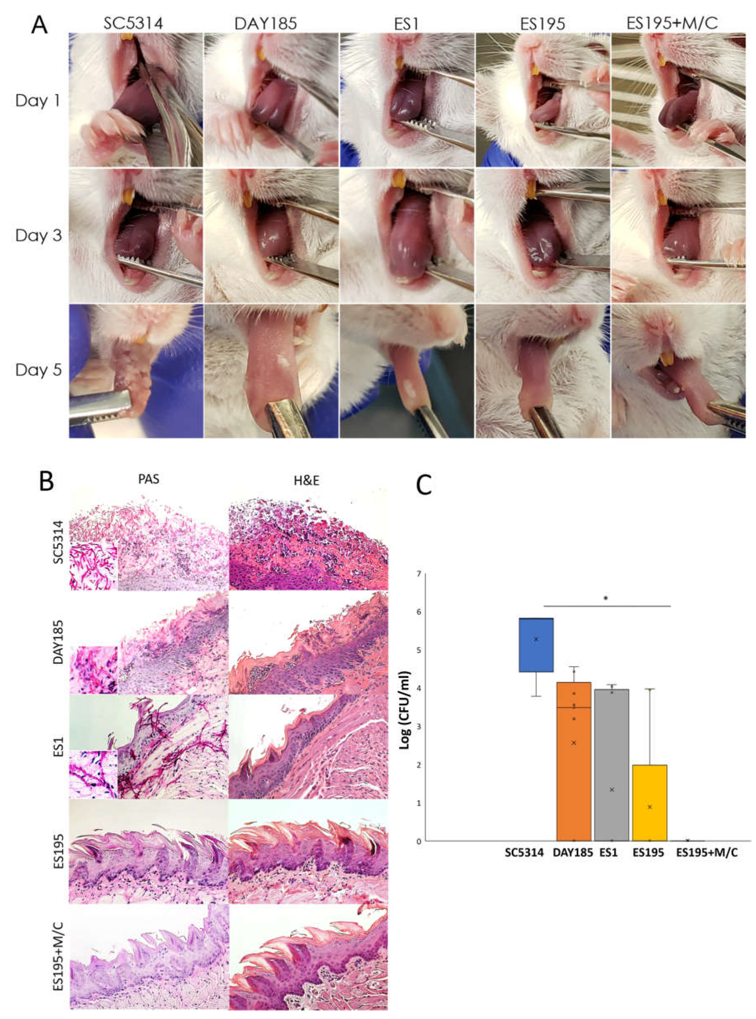 Preprints 109267 g004