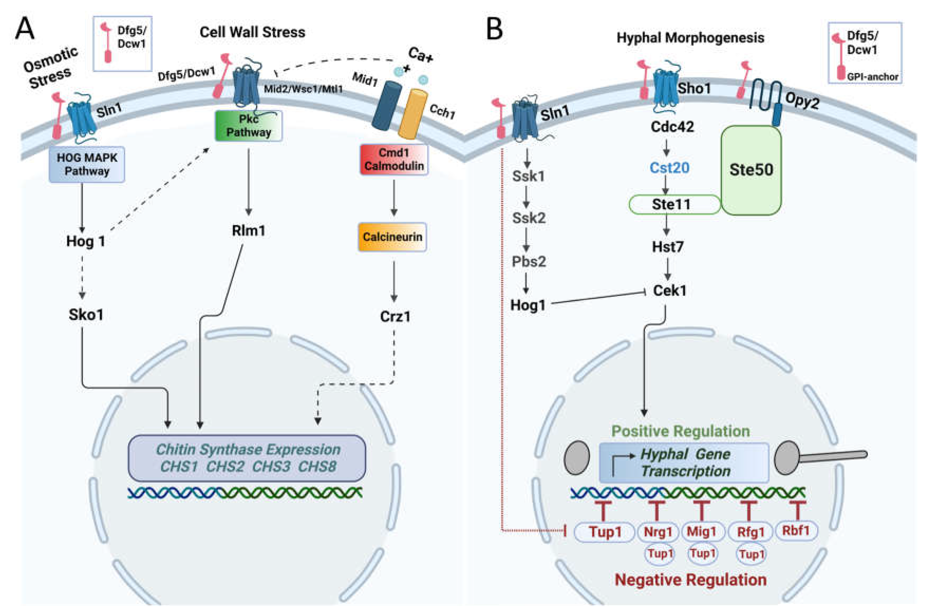 Preprints 109267 g005