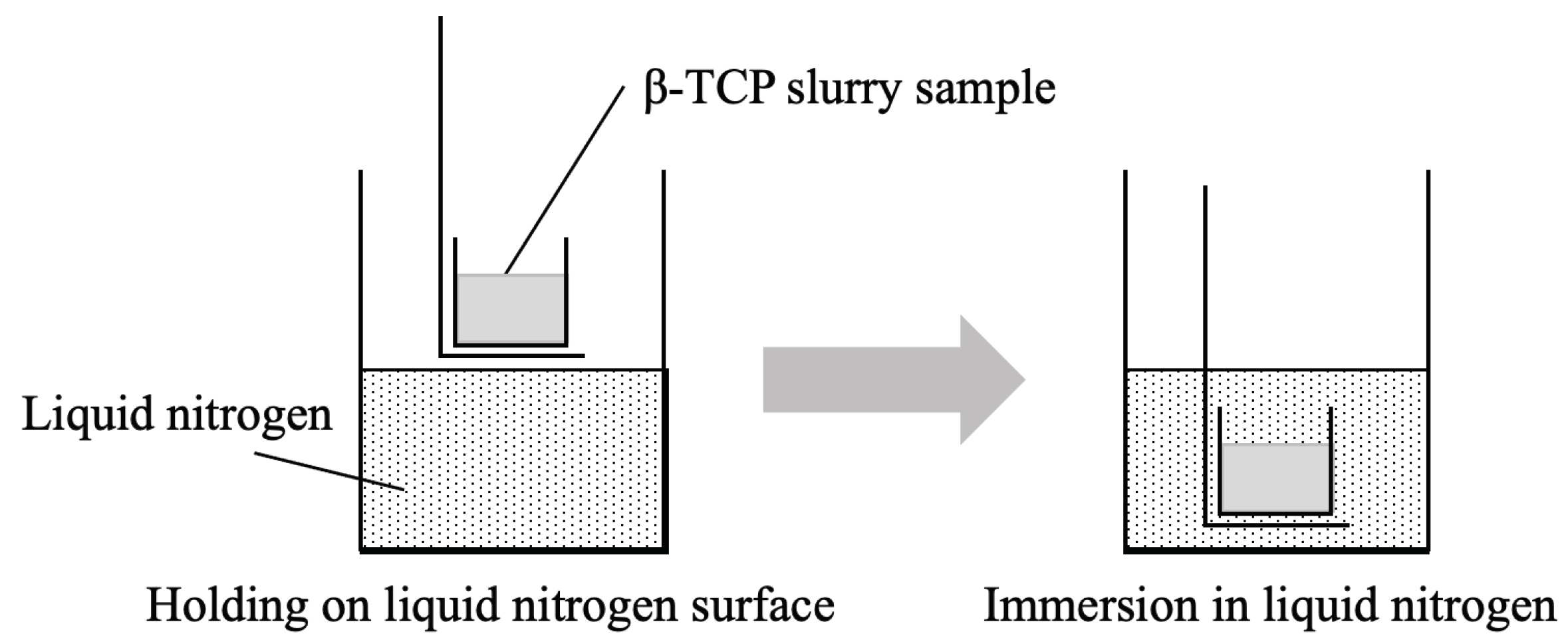 Preprints 102989 g001