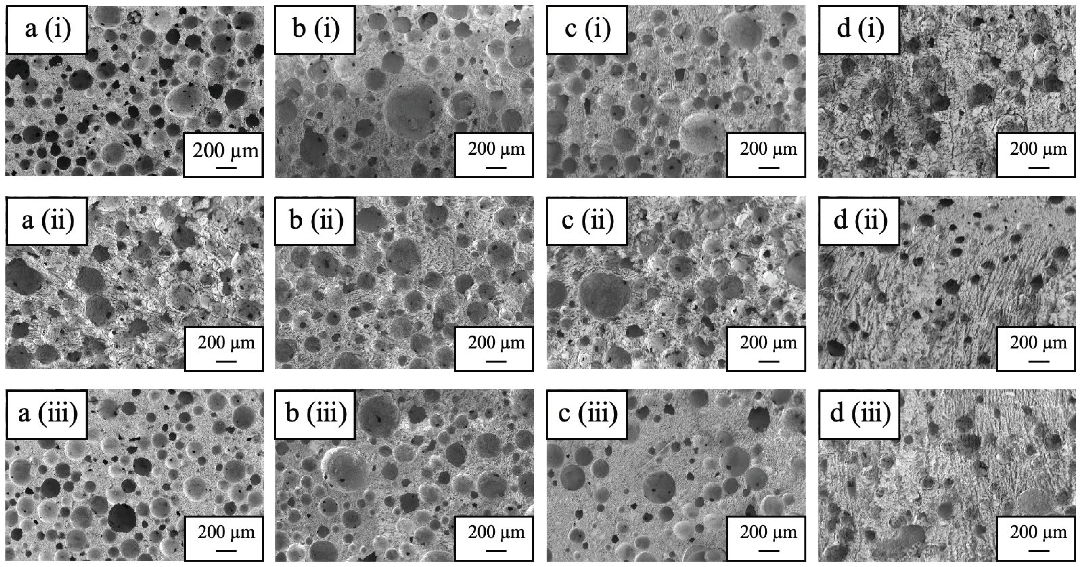 Preprints 102989 g005