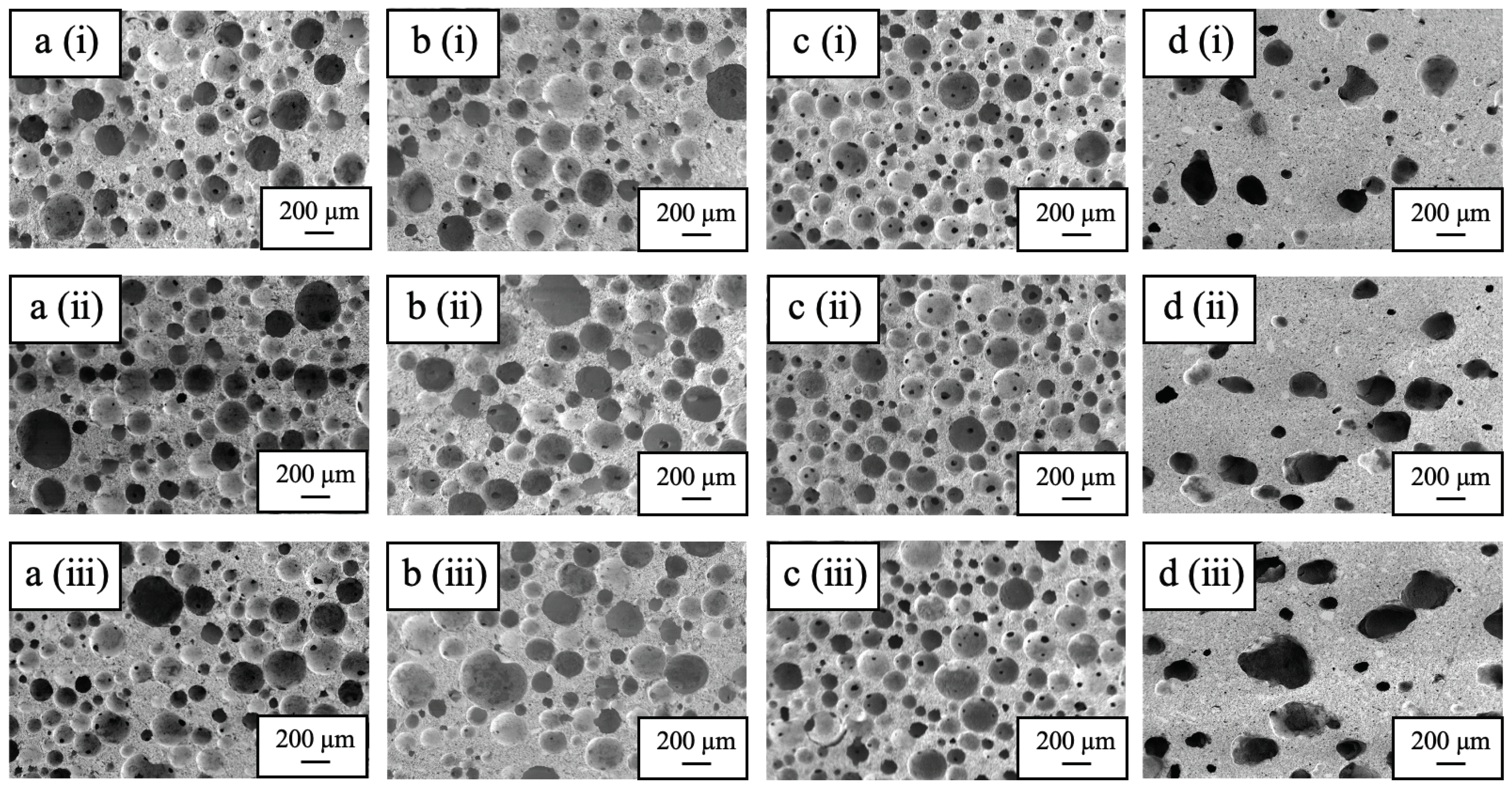 Preprints 102989 g006