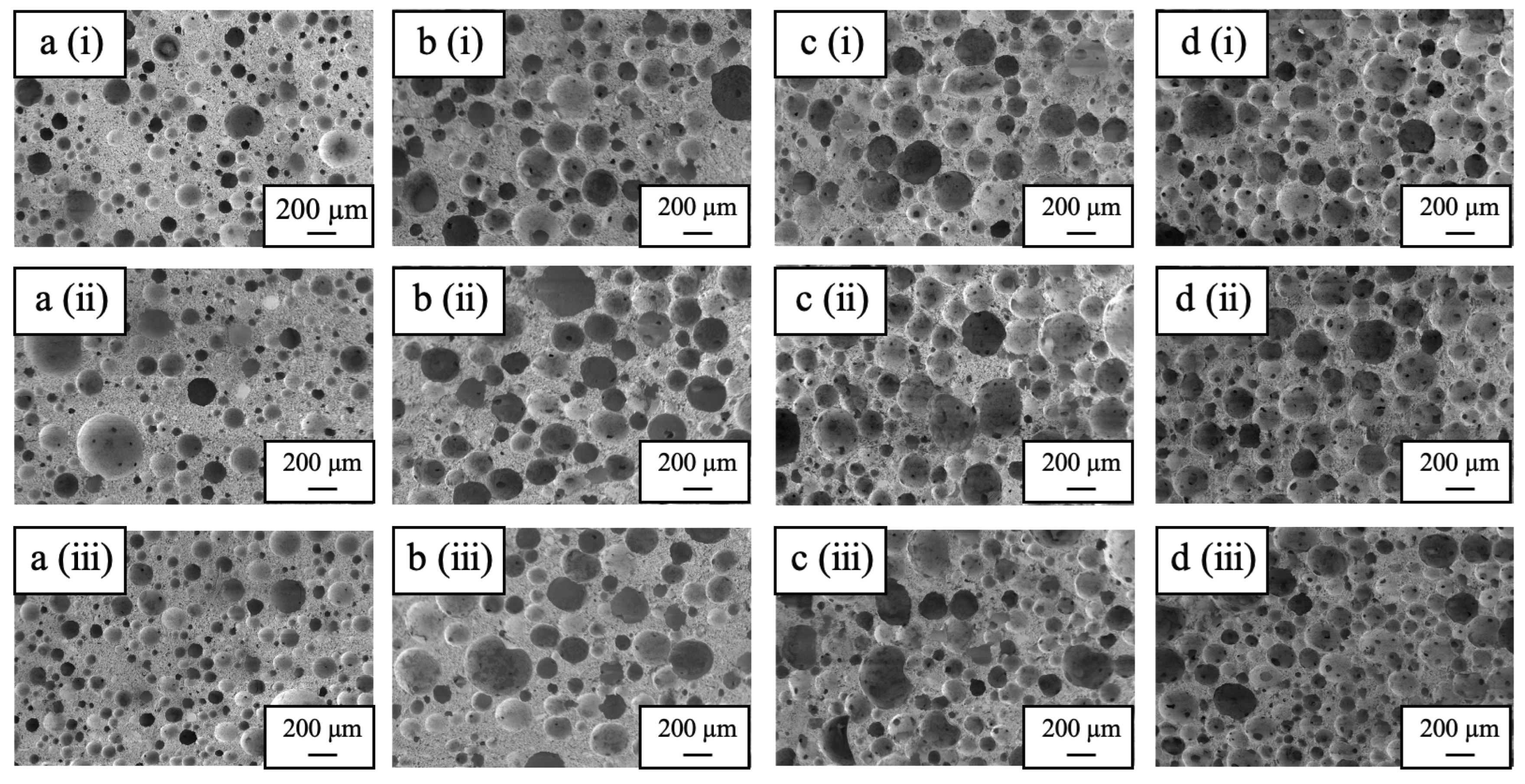 Preprints 102989 g012