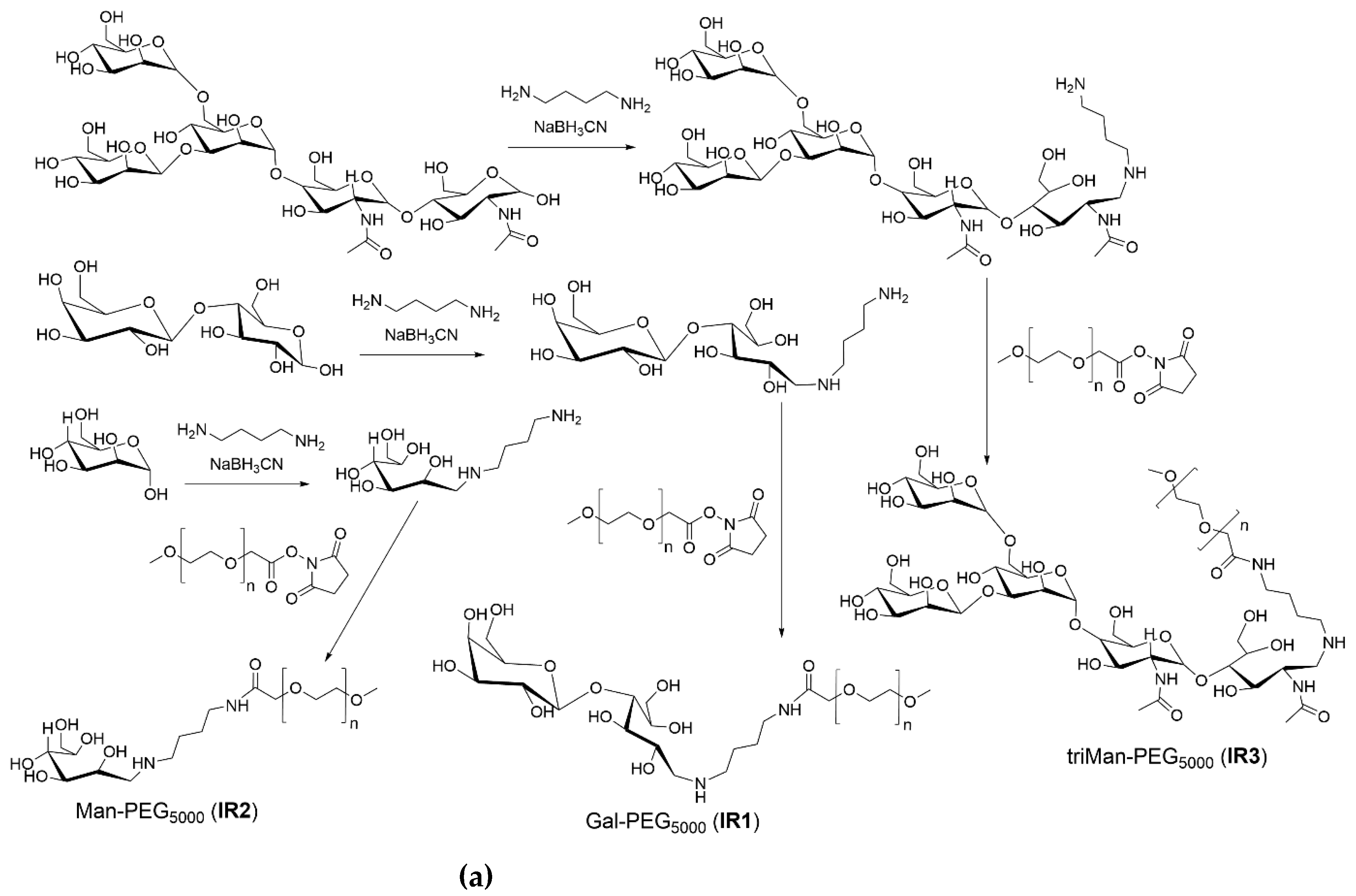 Preprints 121994 g001a