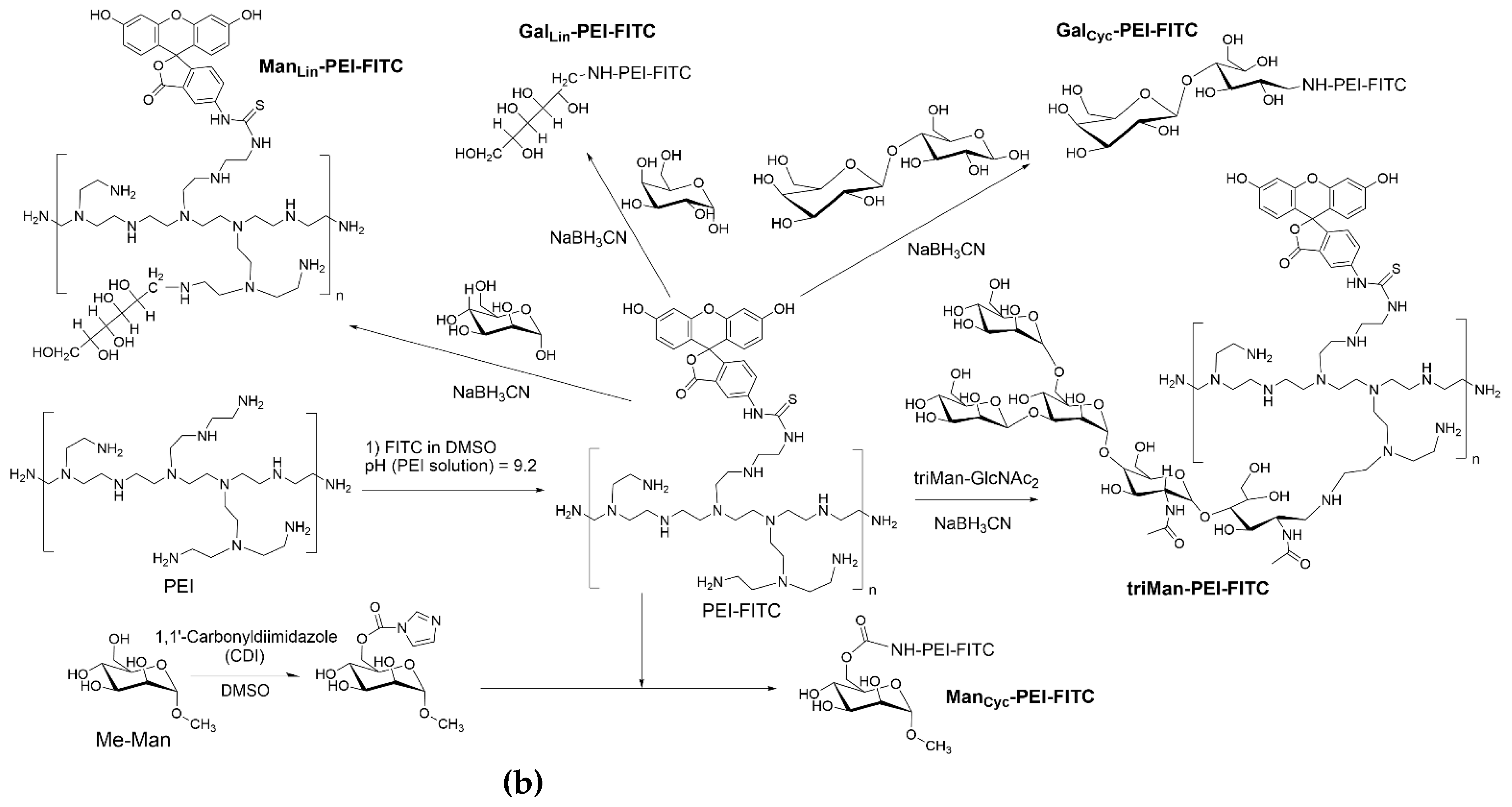 Preprints 121994 g001b