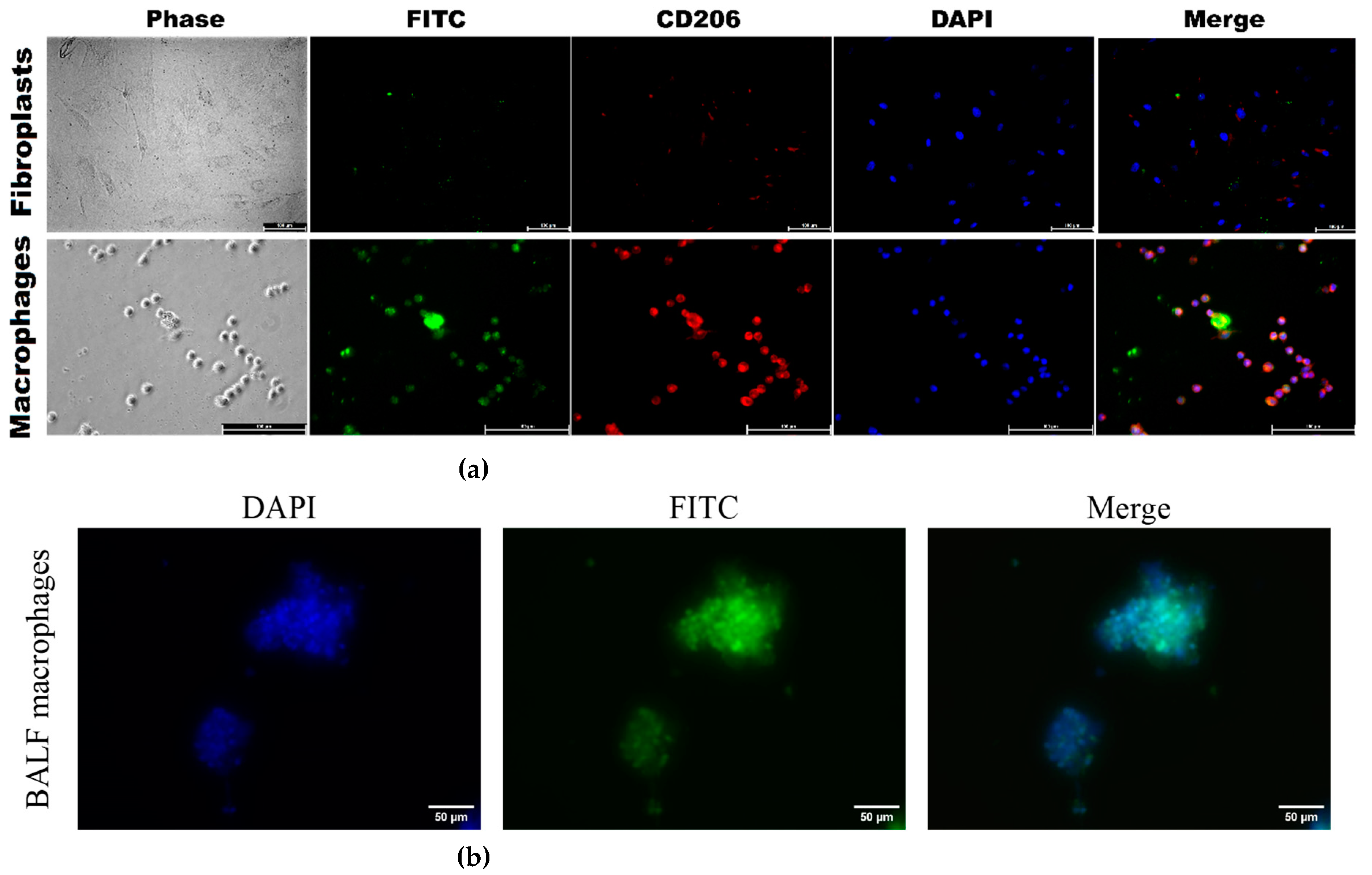 Preprints 121994 g007