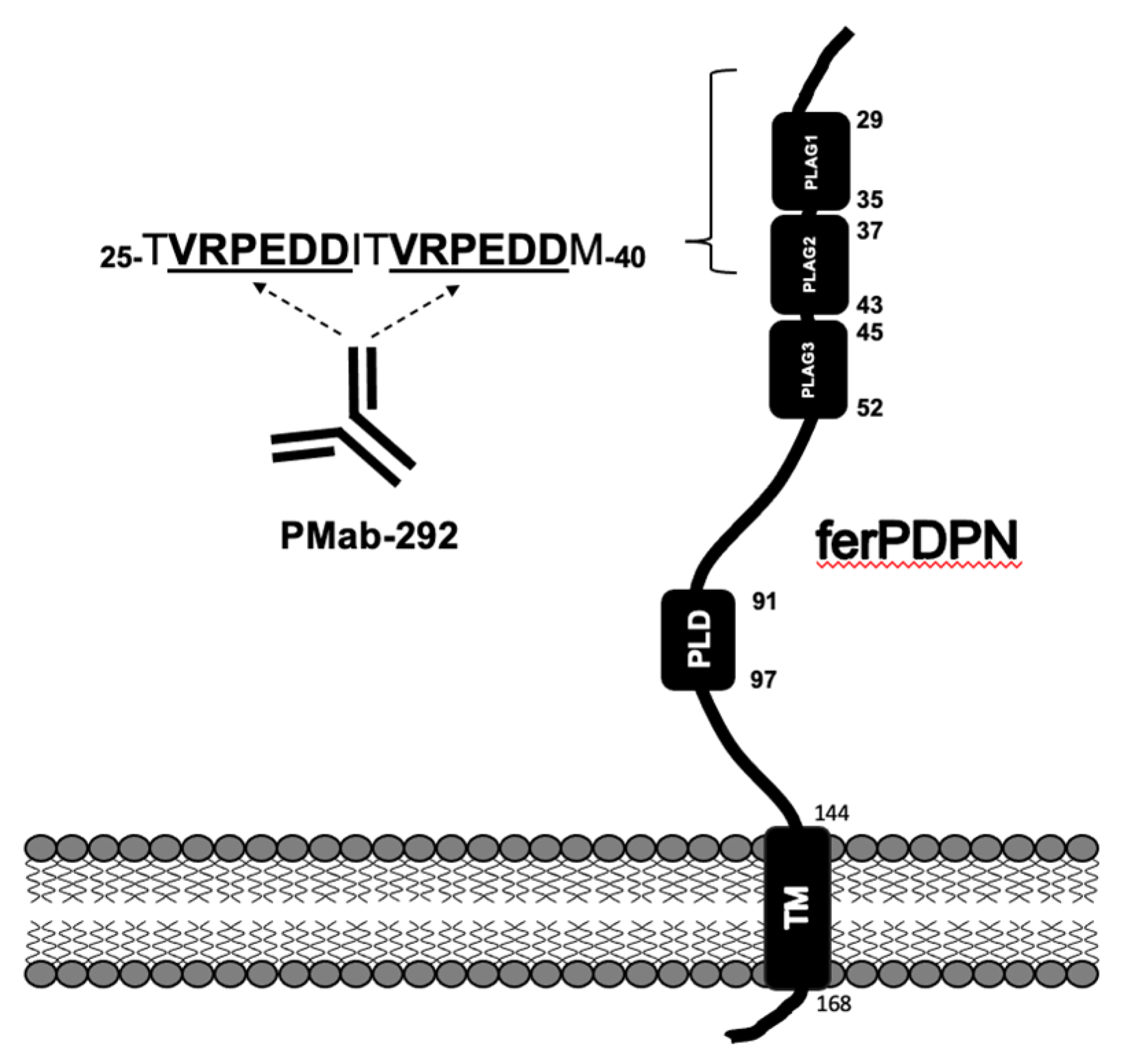 Preprints 91751 g003