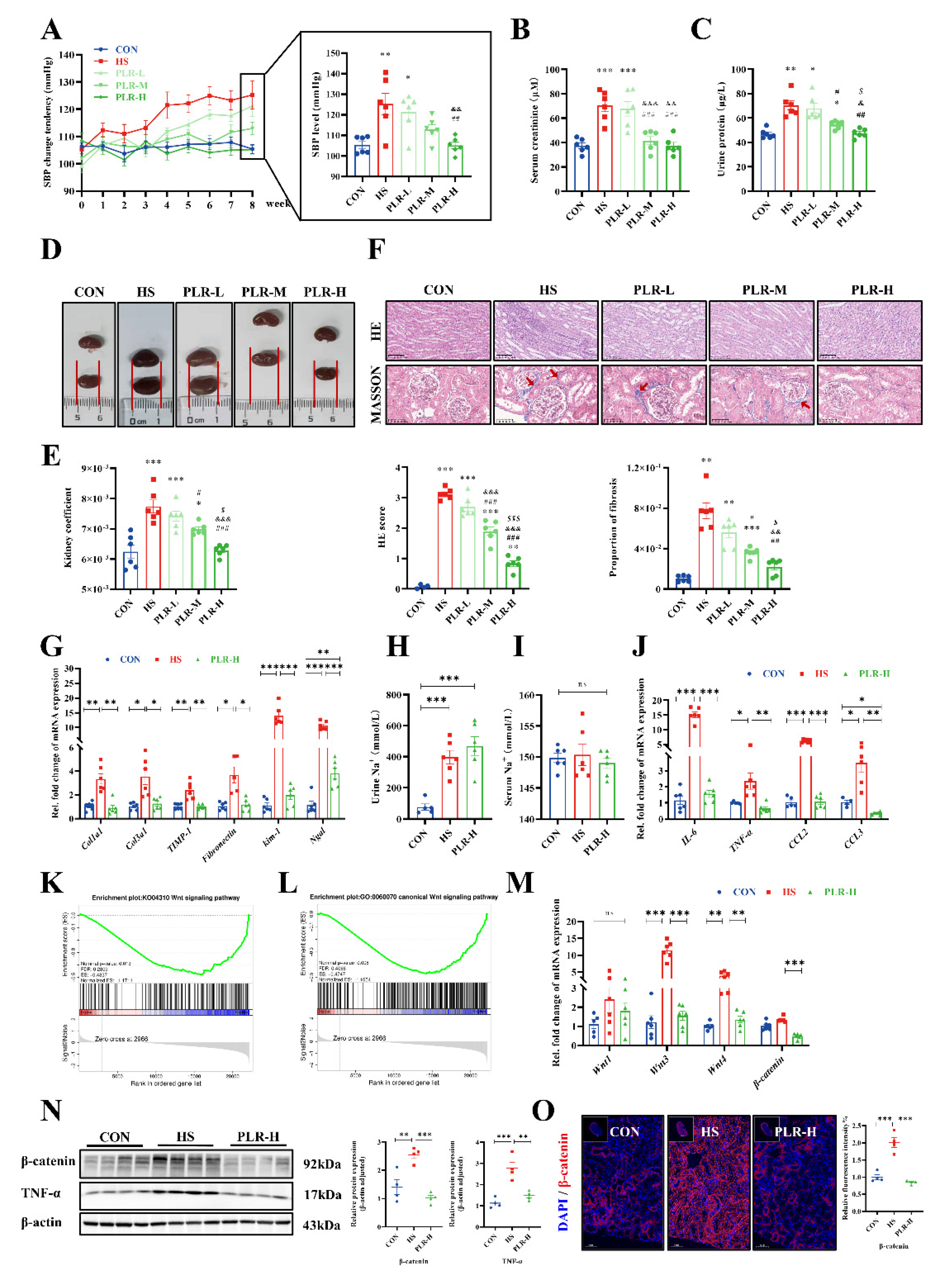 Preprints 96550 g001