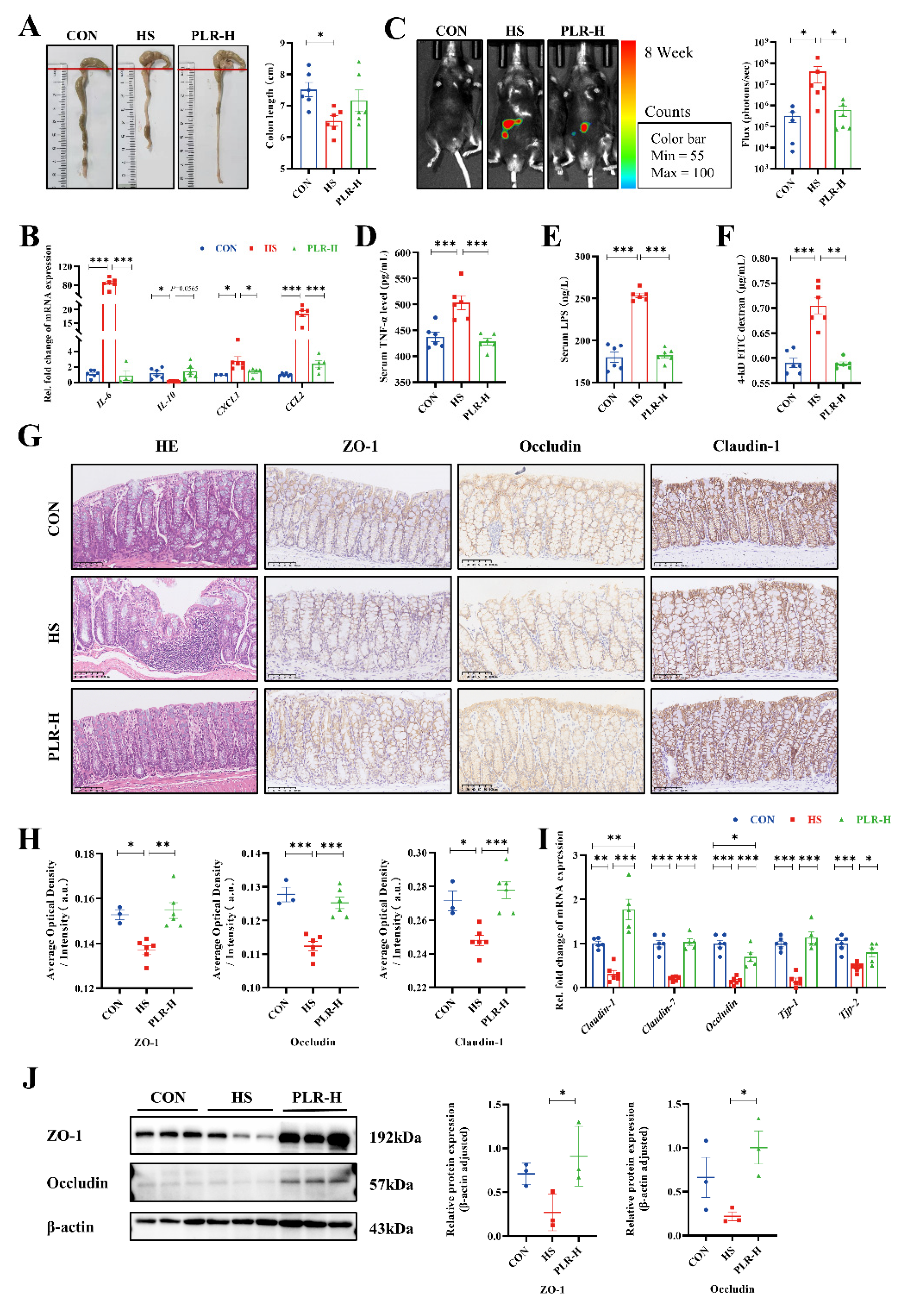 Preprints 96550 g002