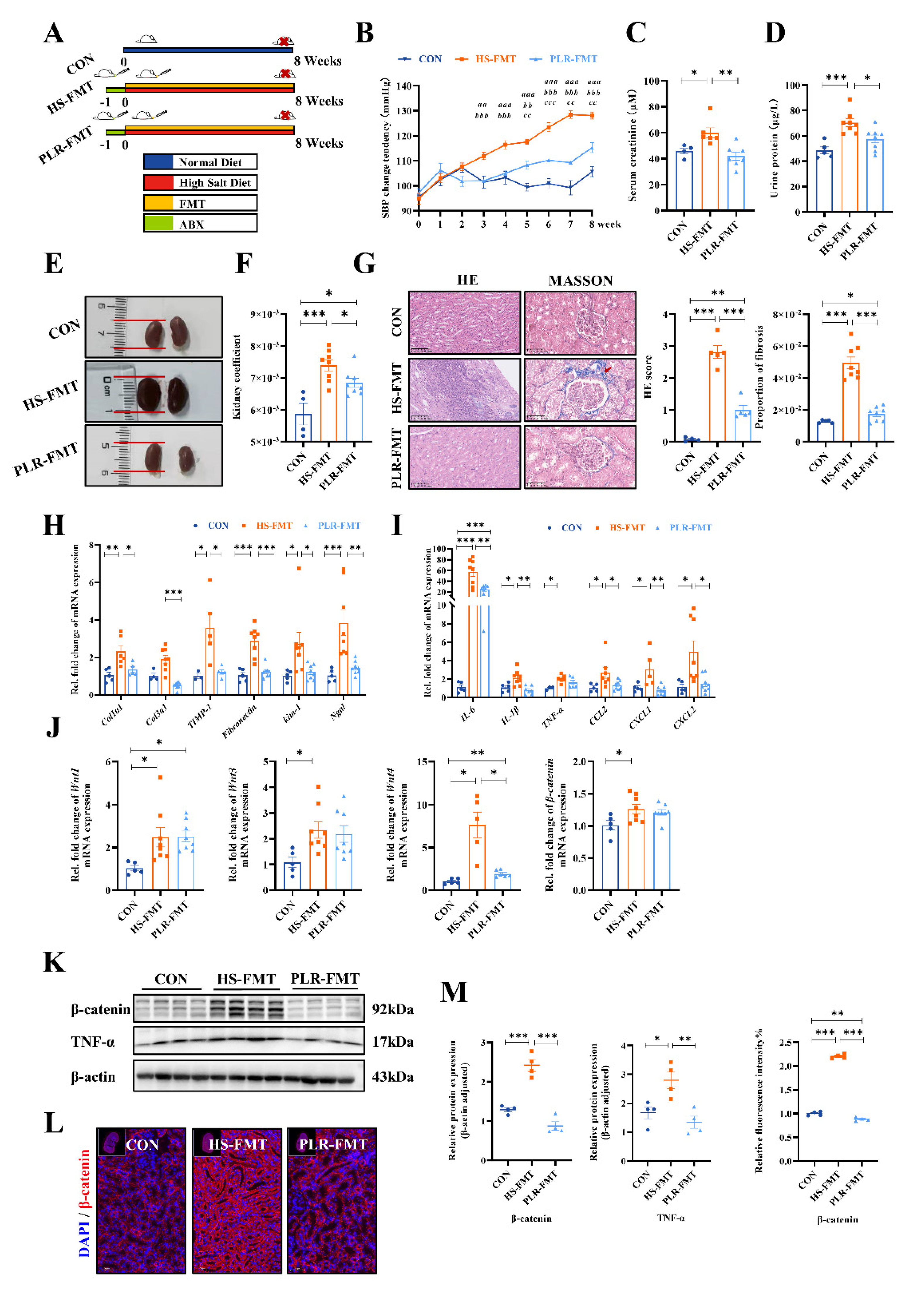 Preprints 96550 g004