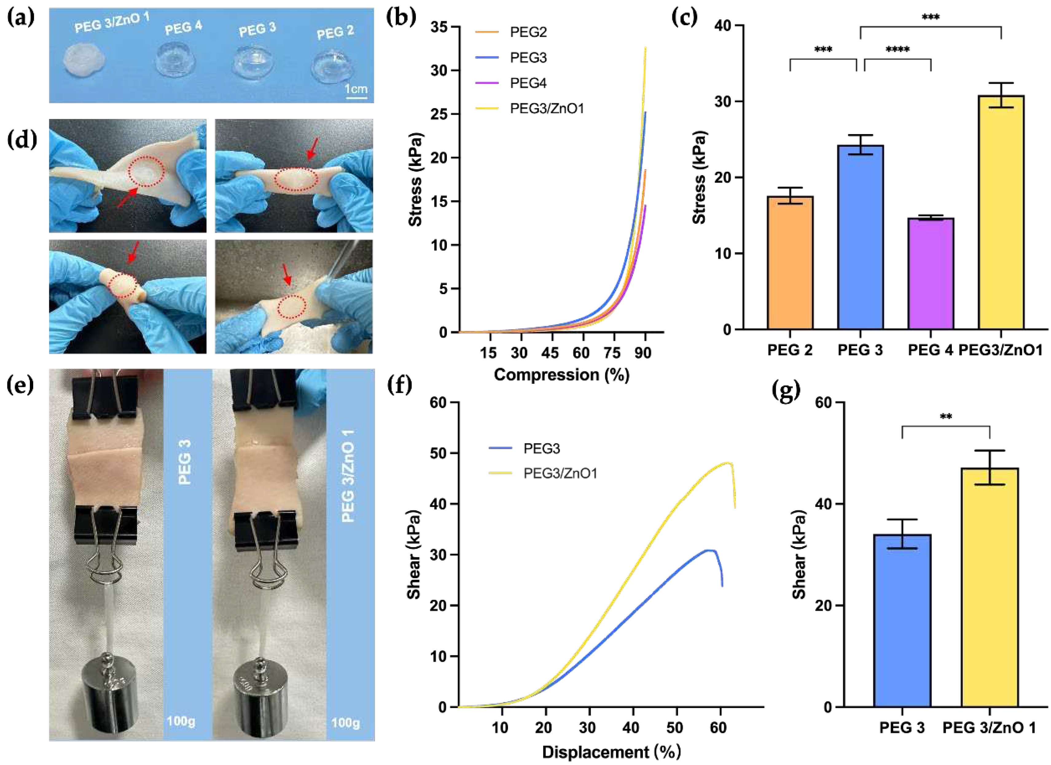 Preprints 93914 g003