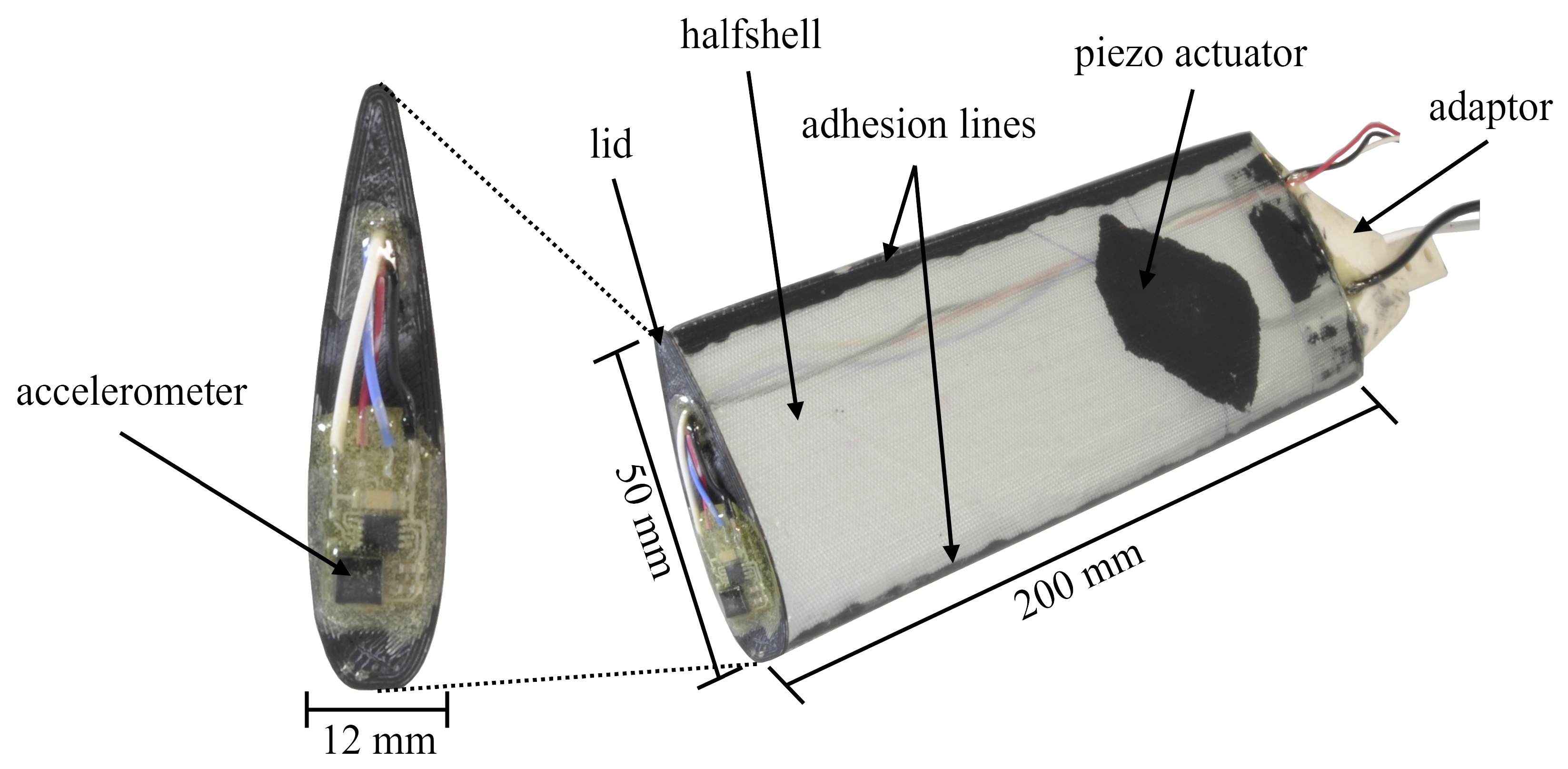 Preprints 108350 g001