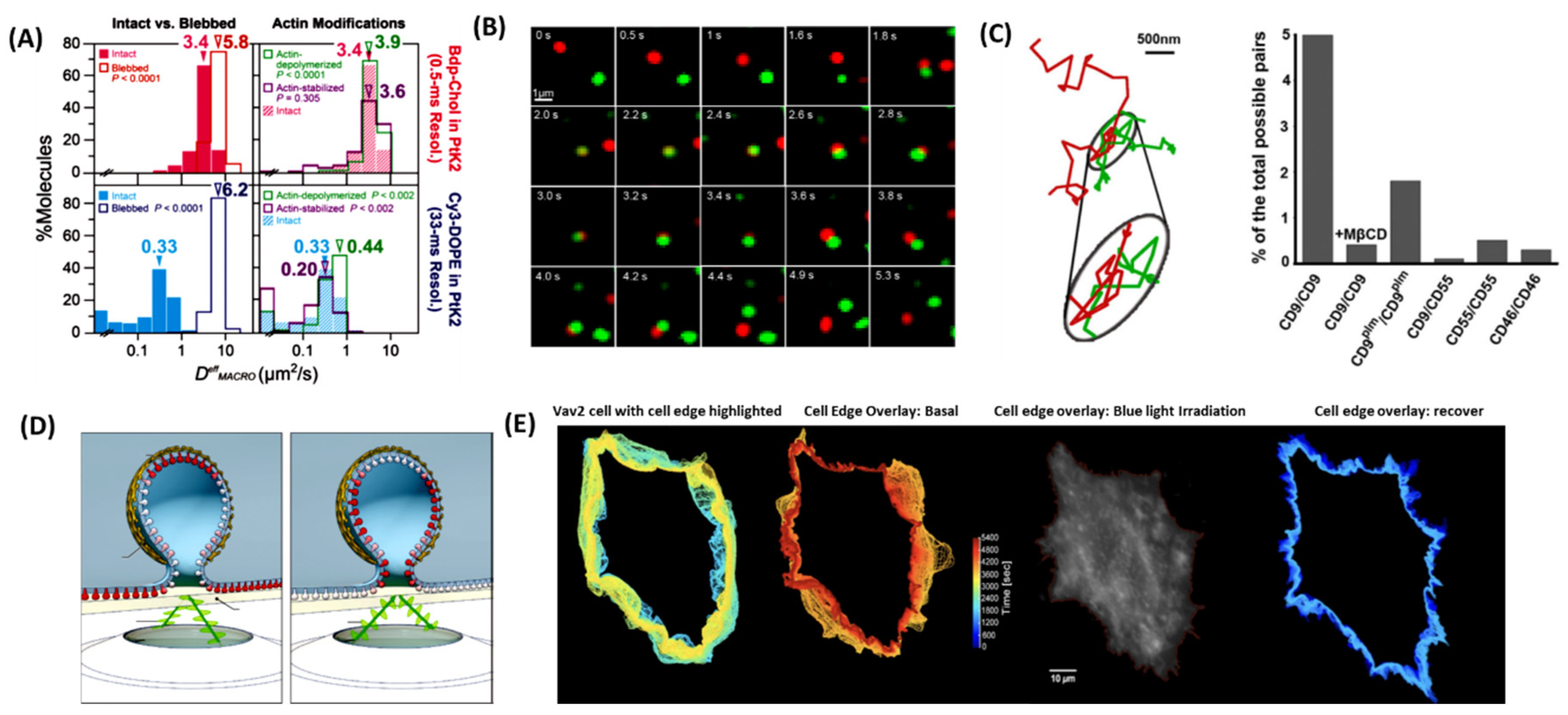 Preprints 81663 g002