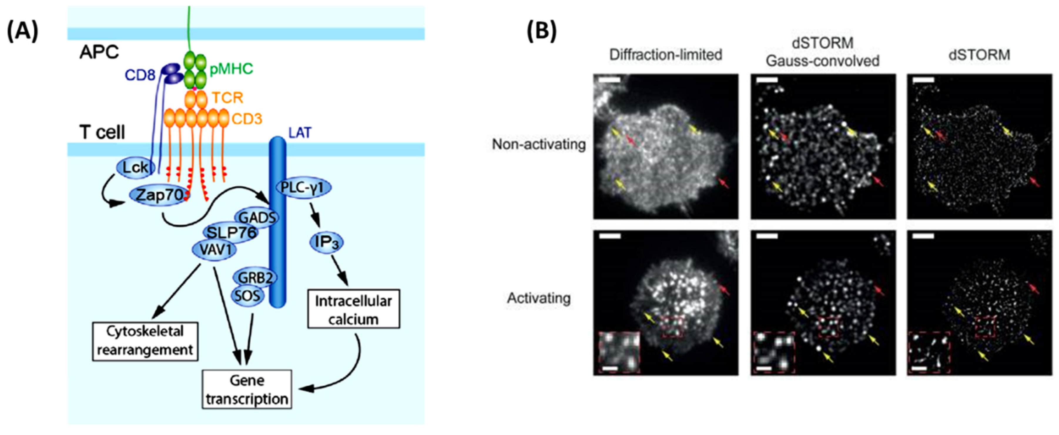 Preprints 81663 g003