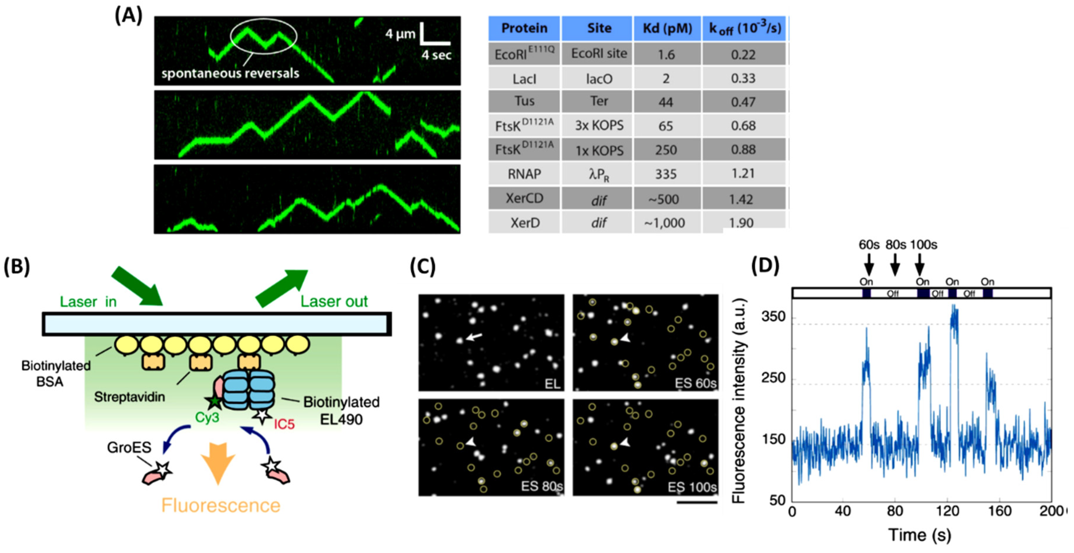 Preprints 81663 g004