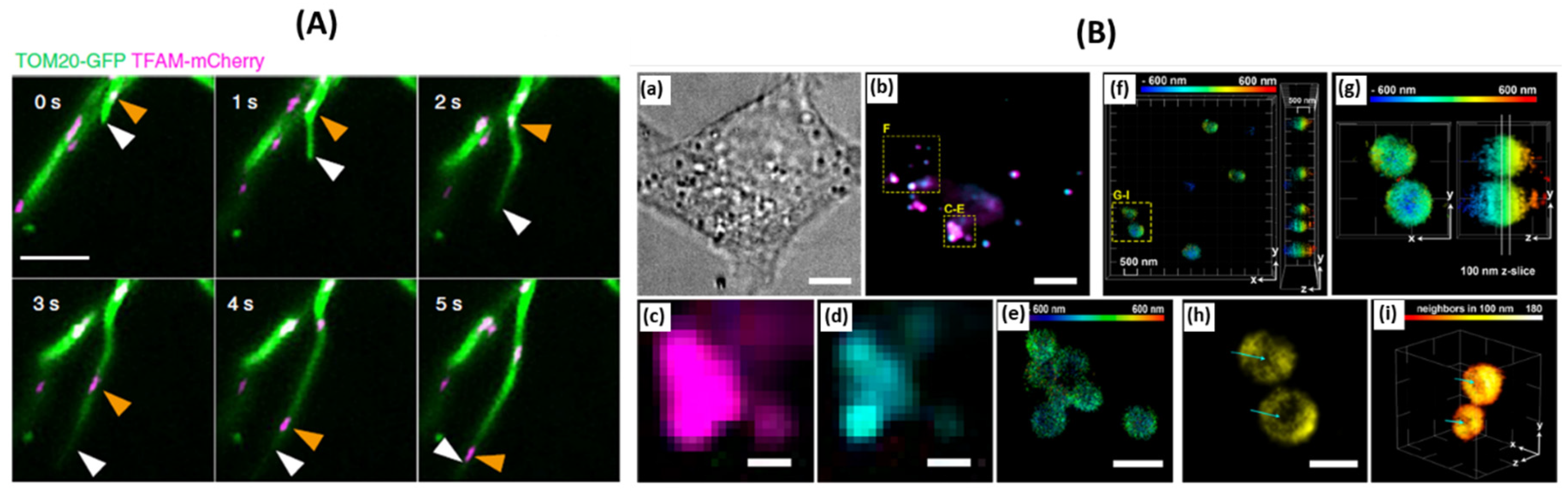 Preprints 81663 g005