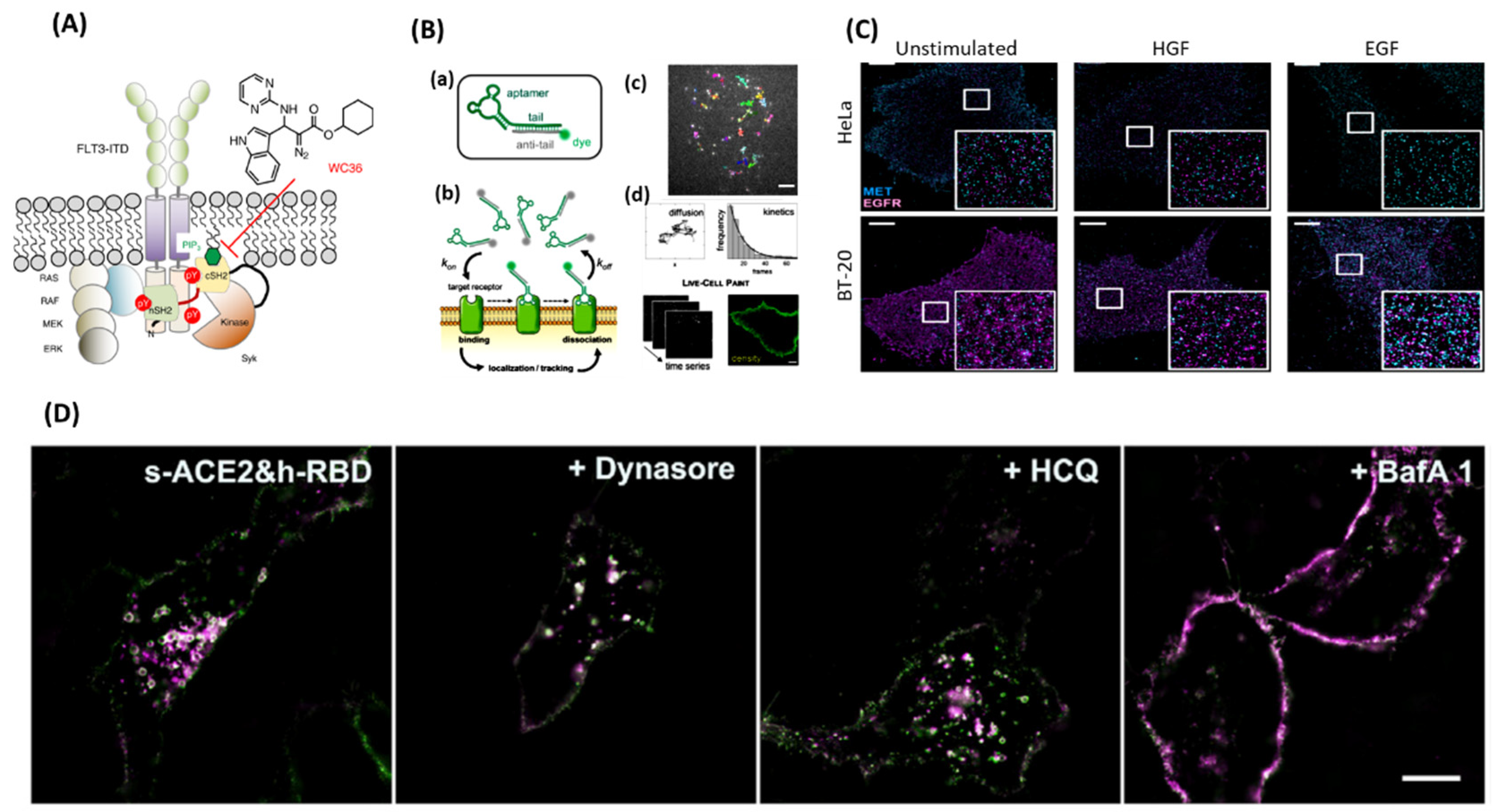 Preprints 81663 g006