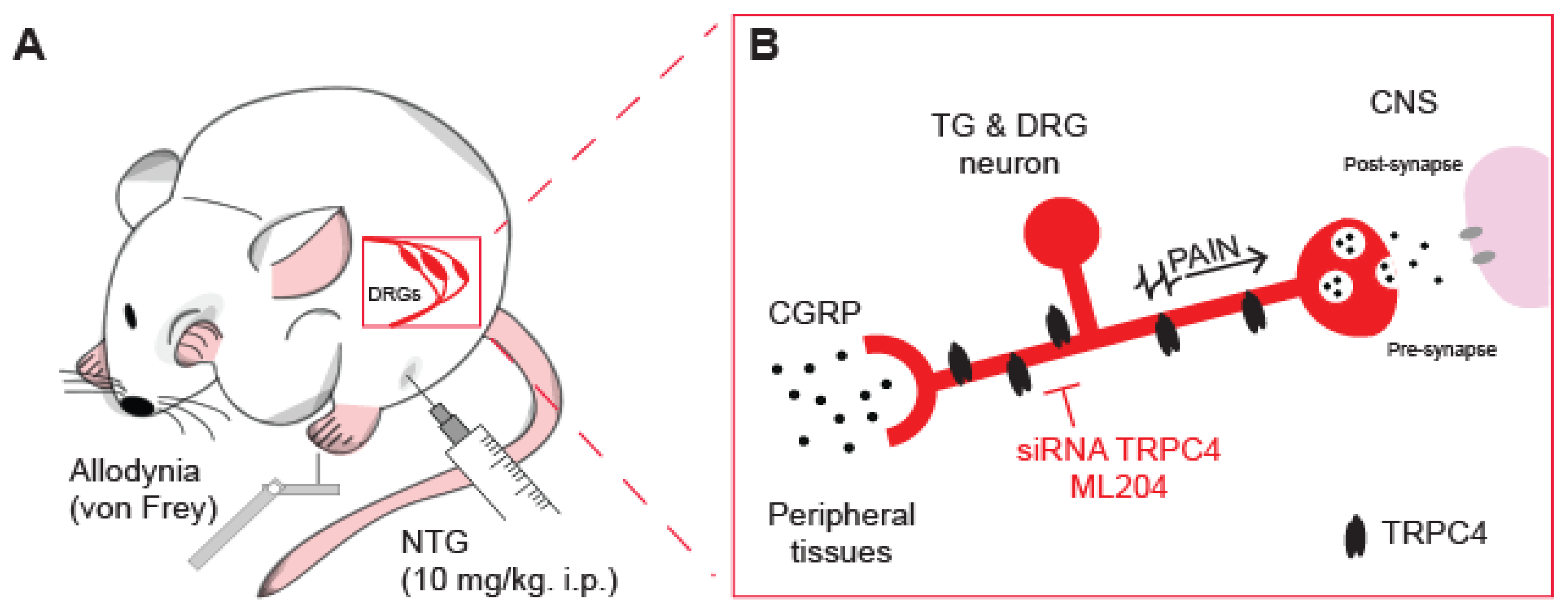 Preprints 71114 g002