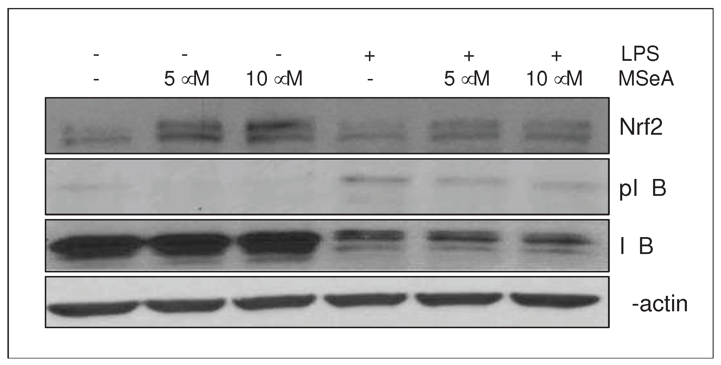 Preprints 82416 g004