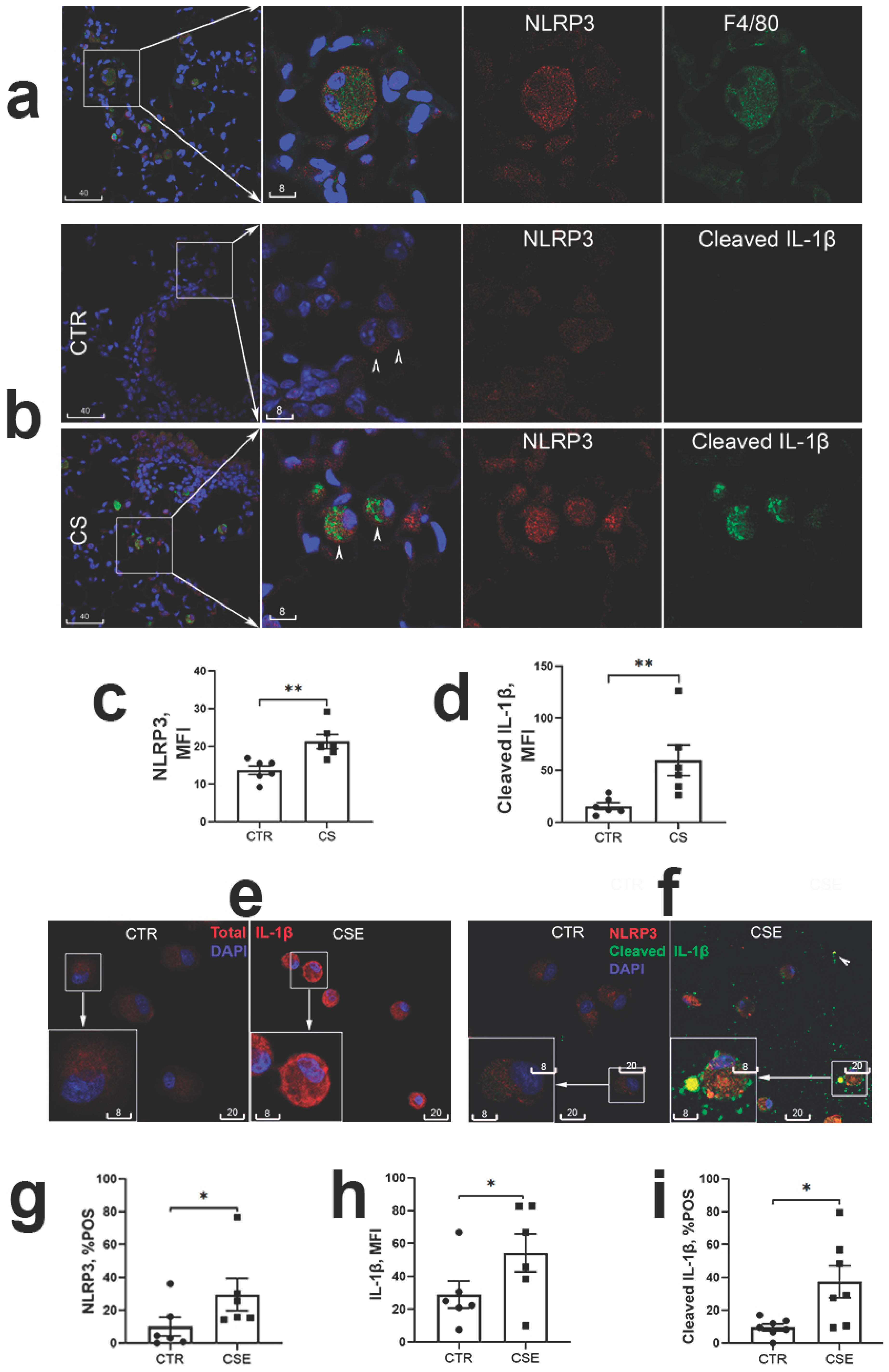 Preprints 102048 g001