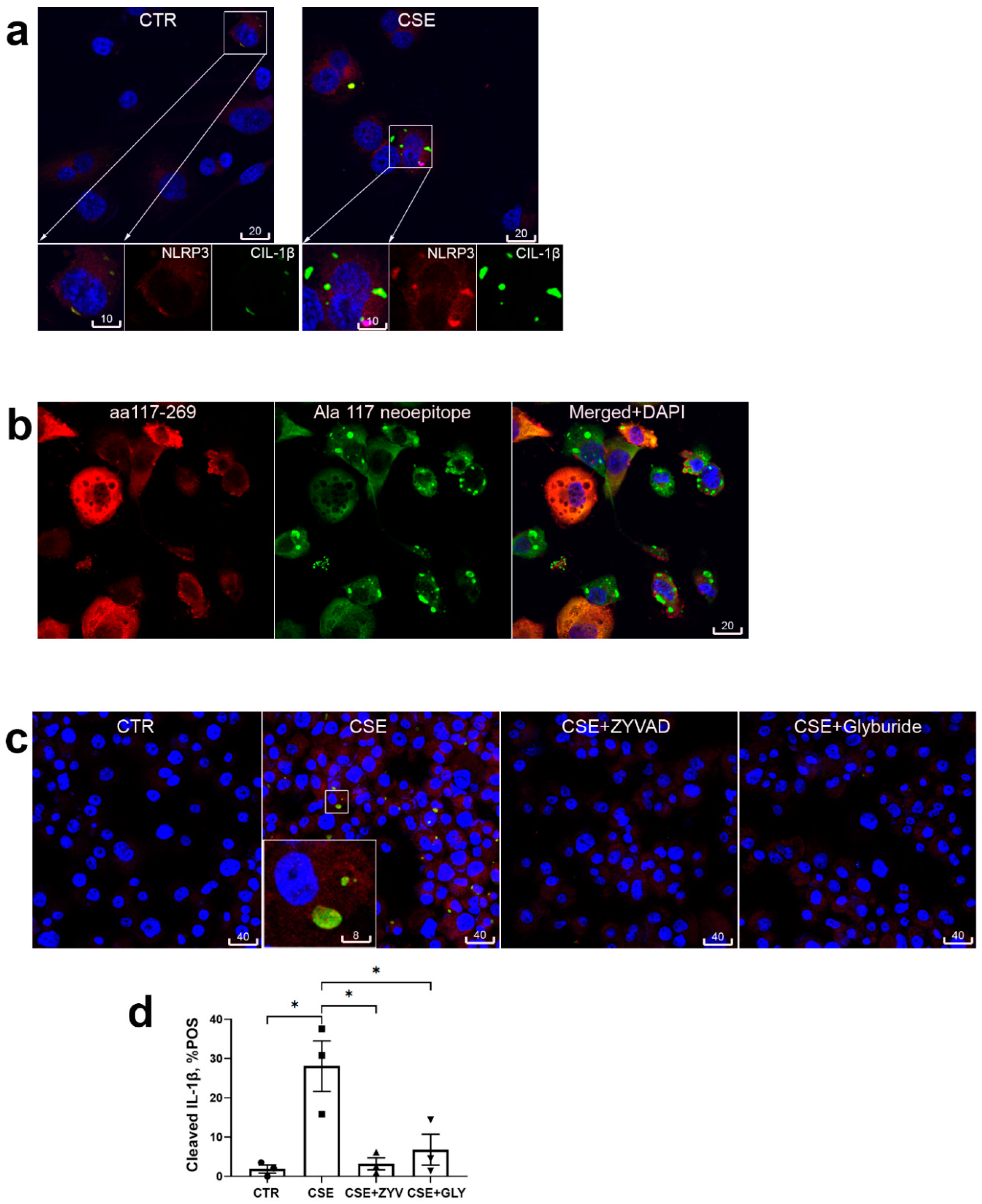 Preprints 102048 g002