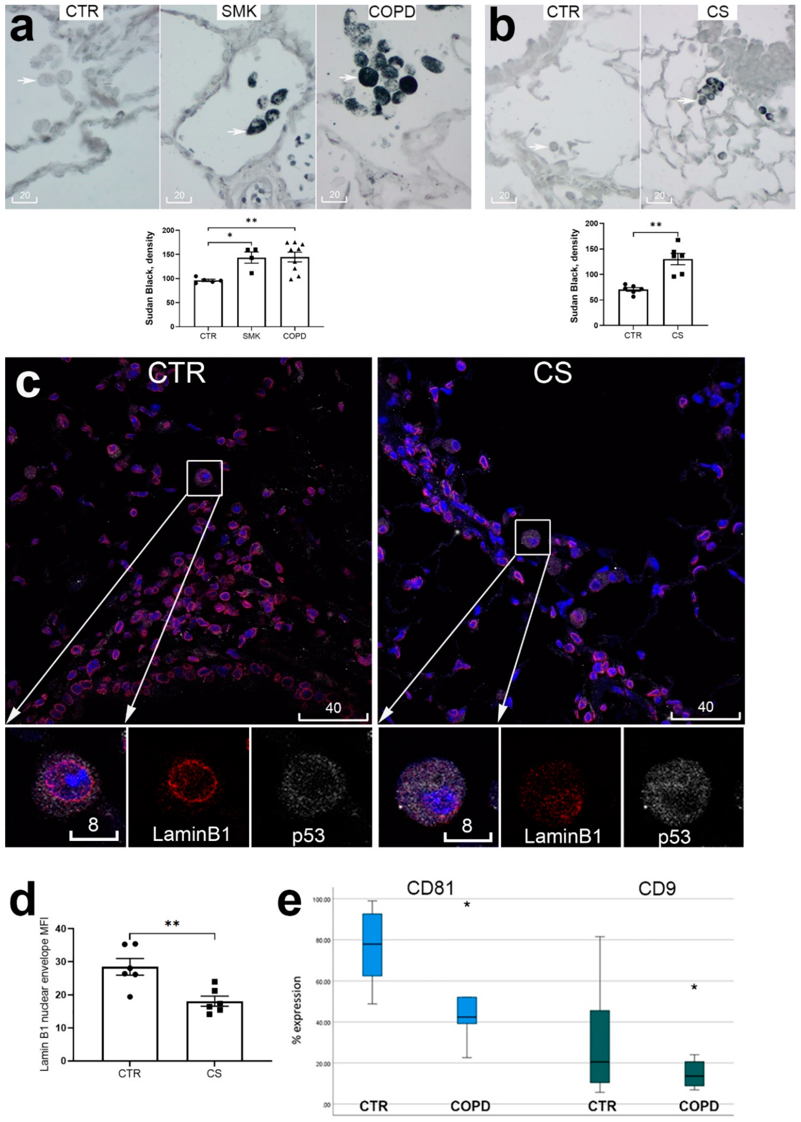 Preprints 102048 g003