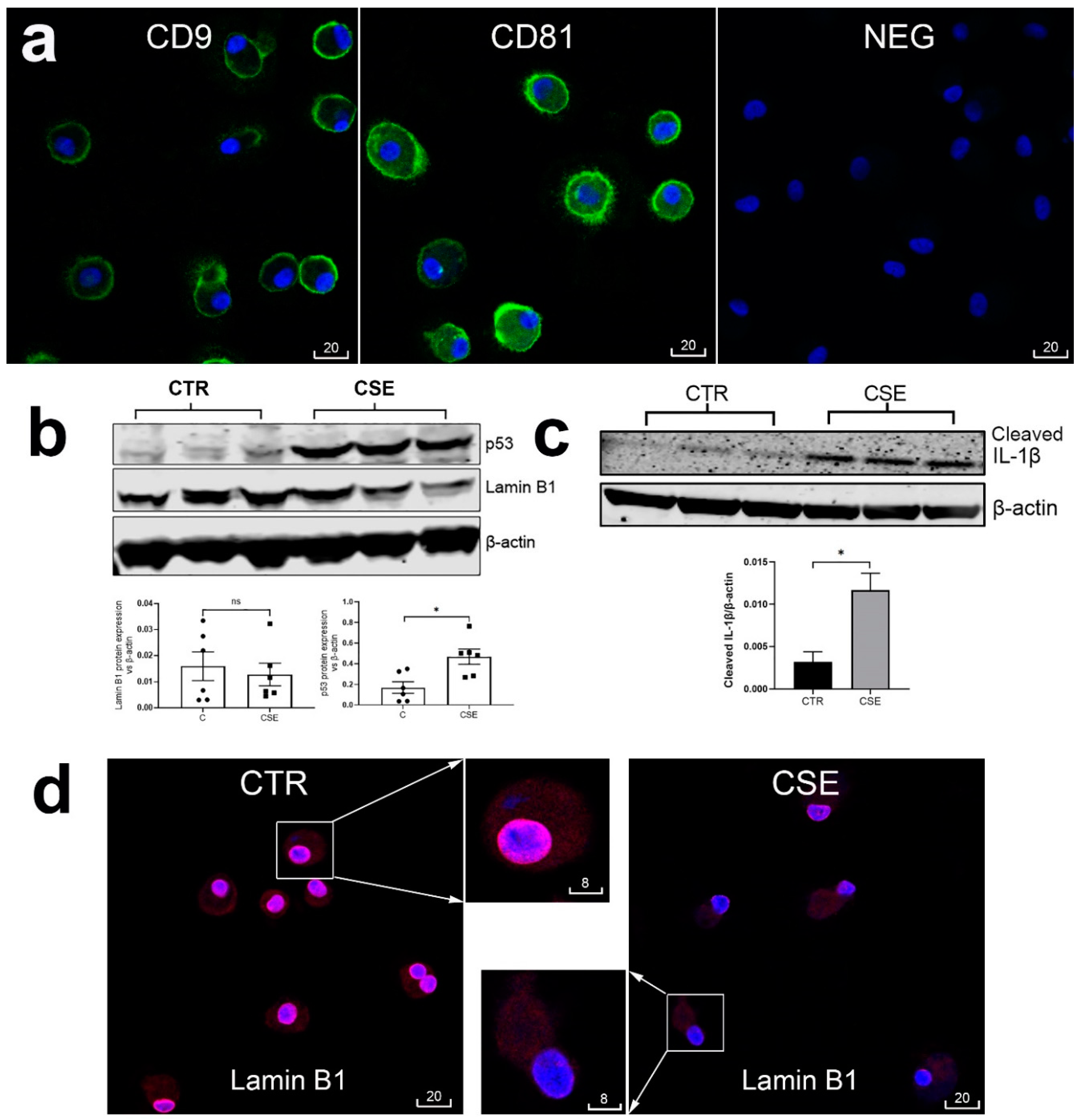 Preprints 102048 g004