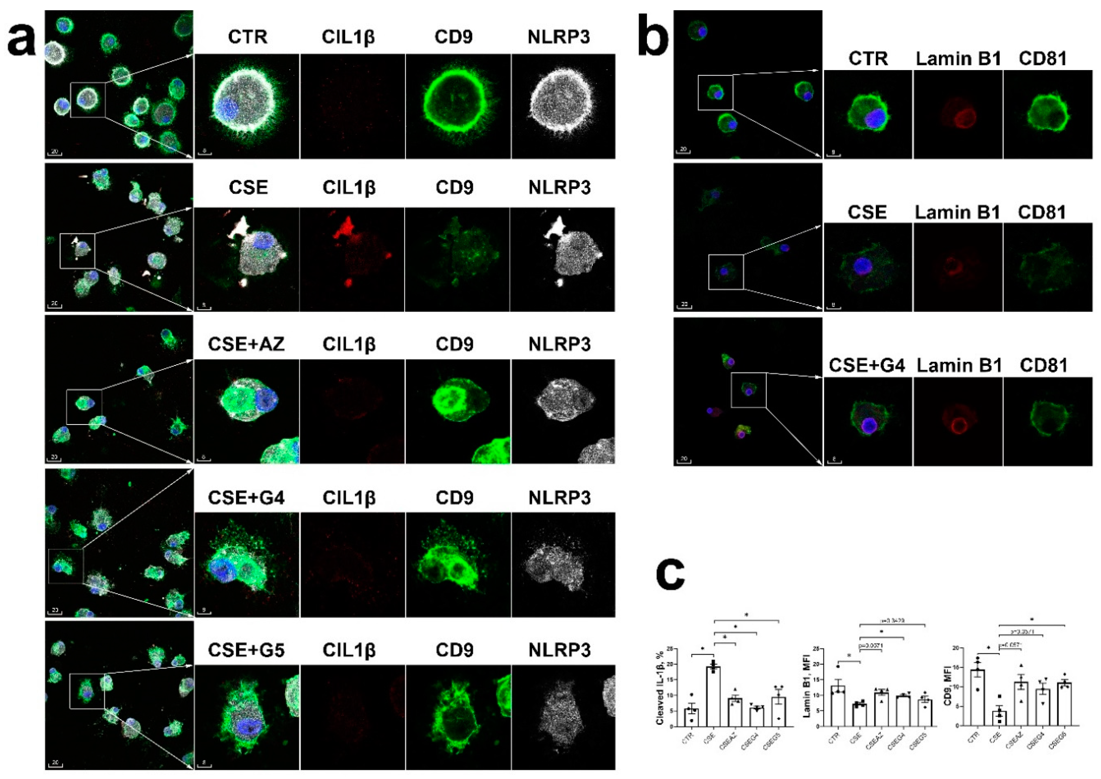 Preprints 102048 g005