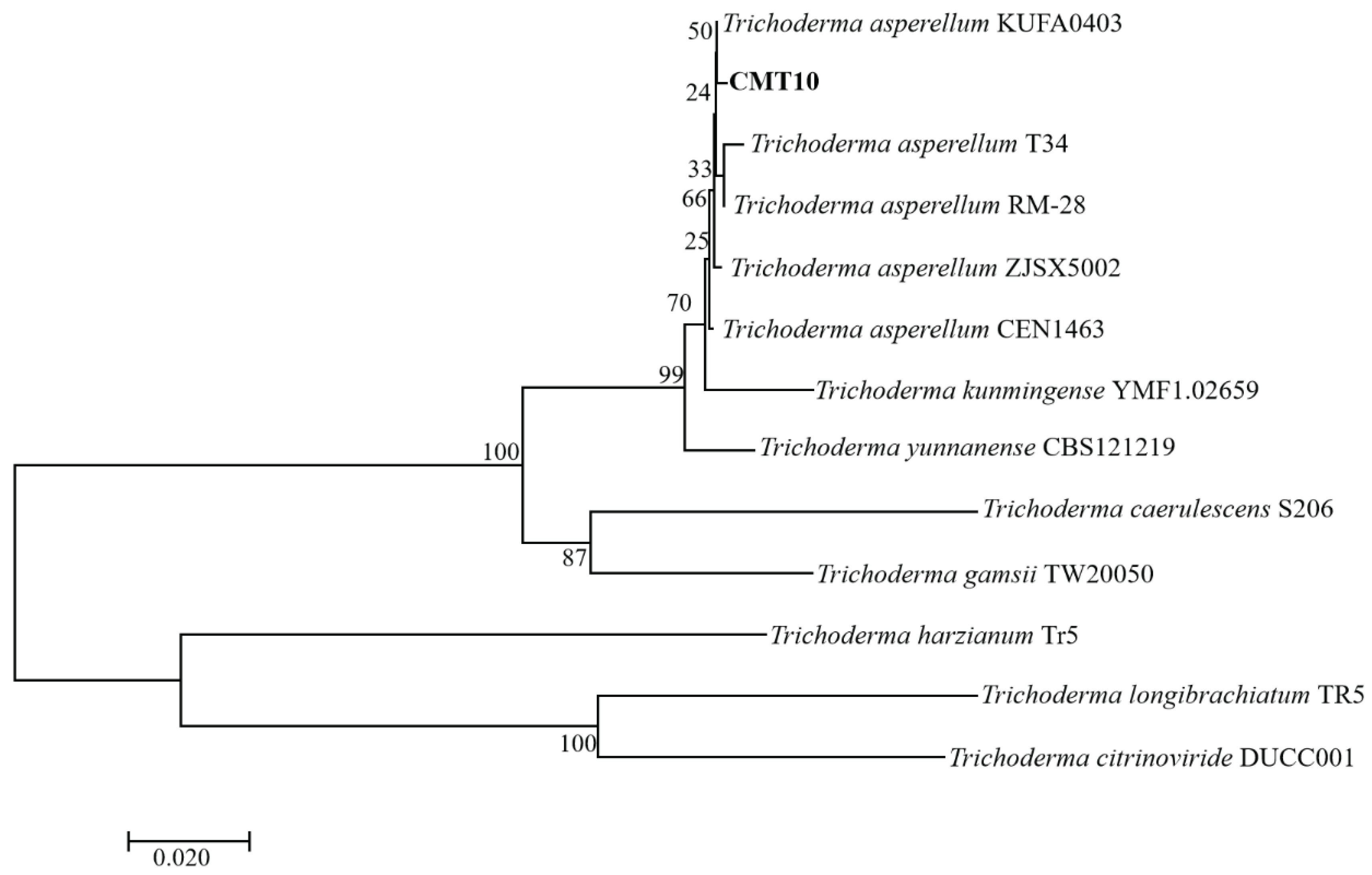 Preprints 98747 g003