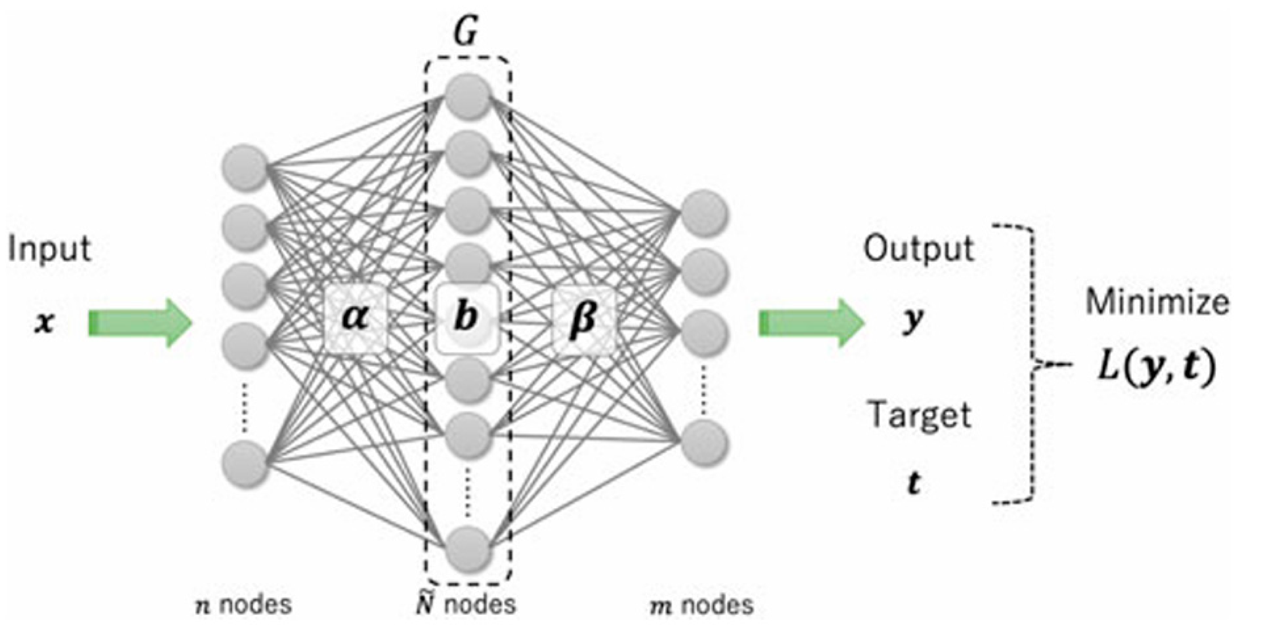 Preprints 115022 g002