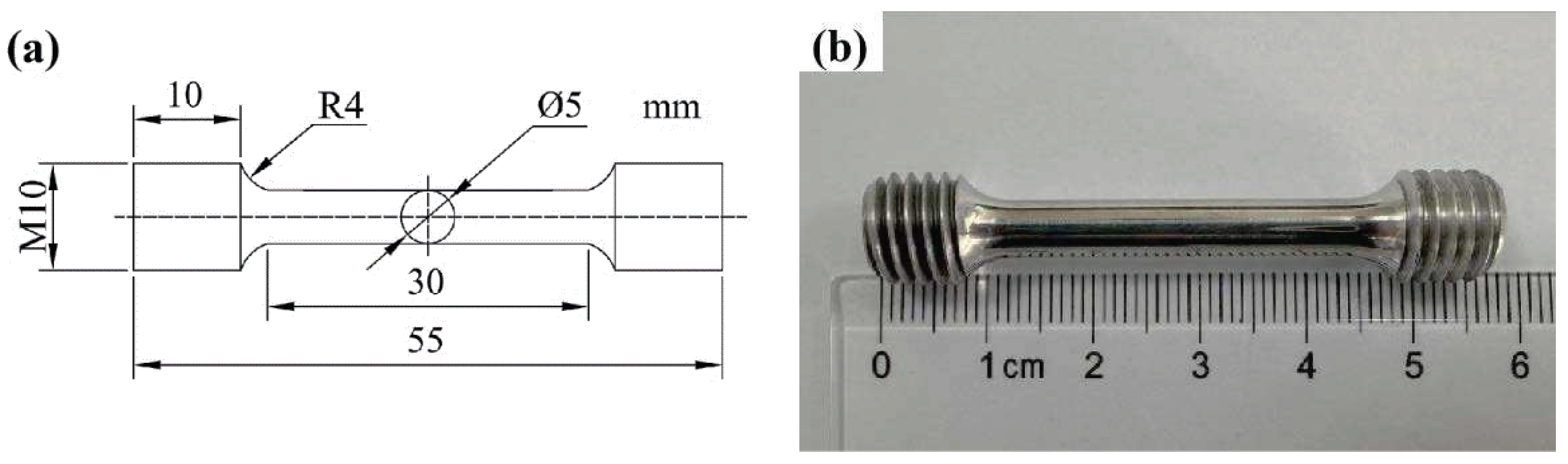 Preprints 94675 g002