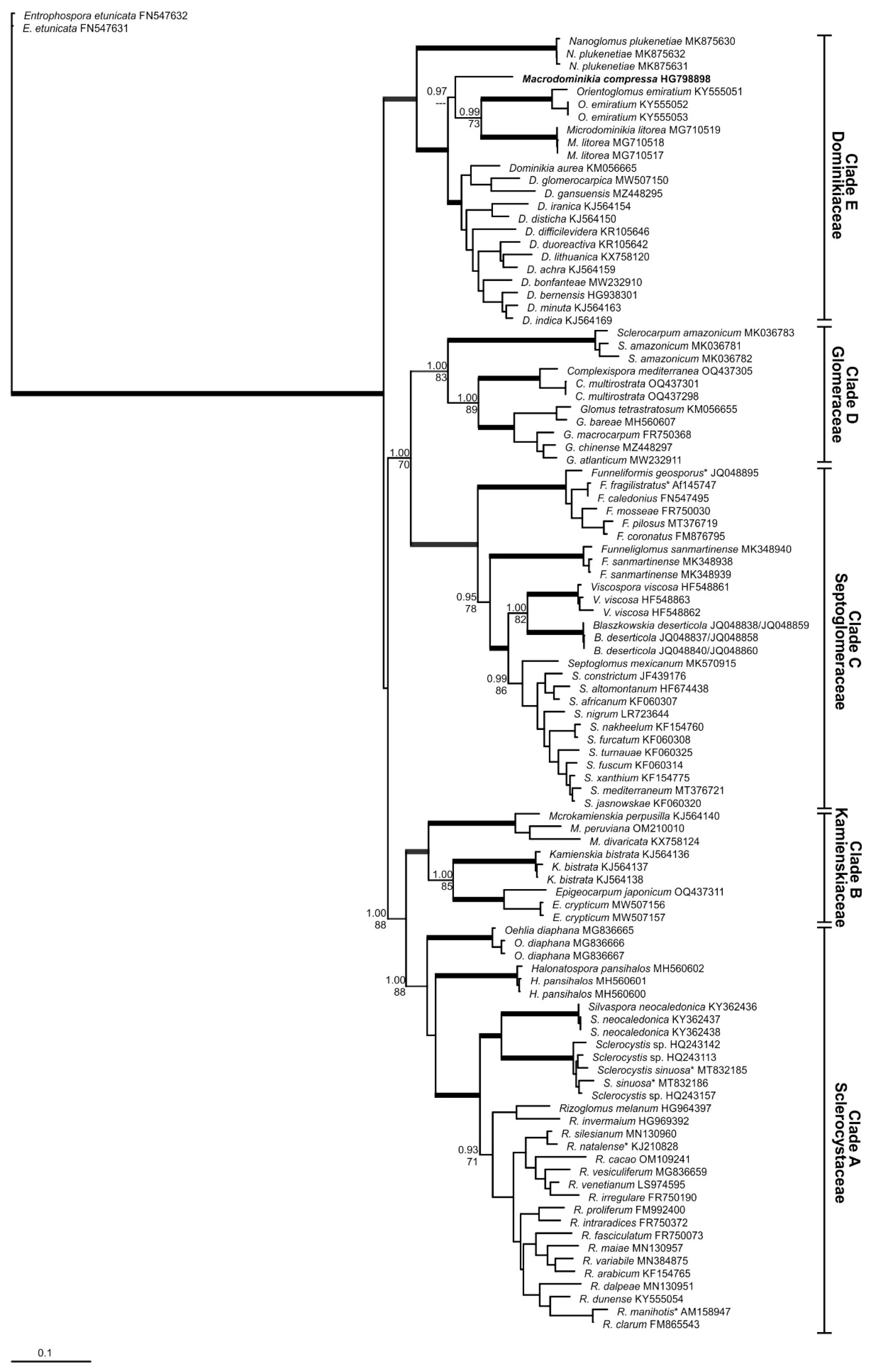 Preprints 115962 g001