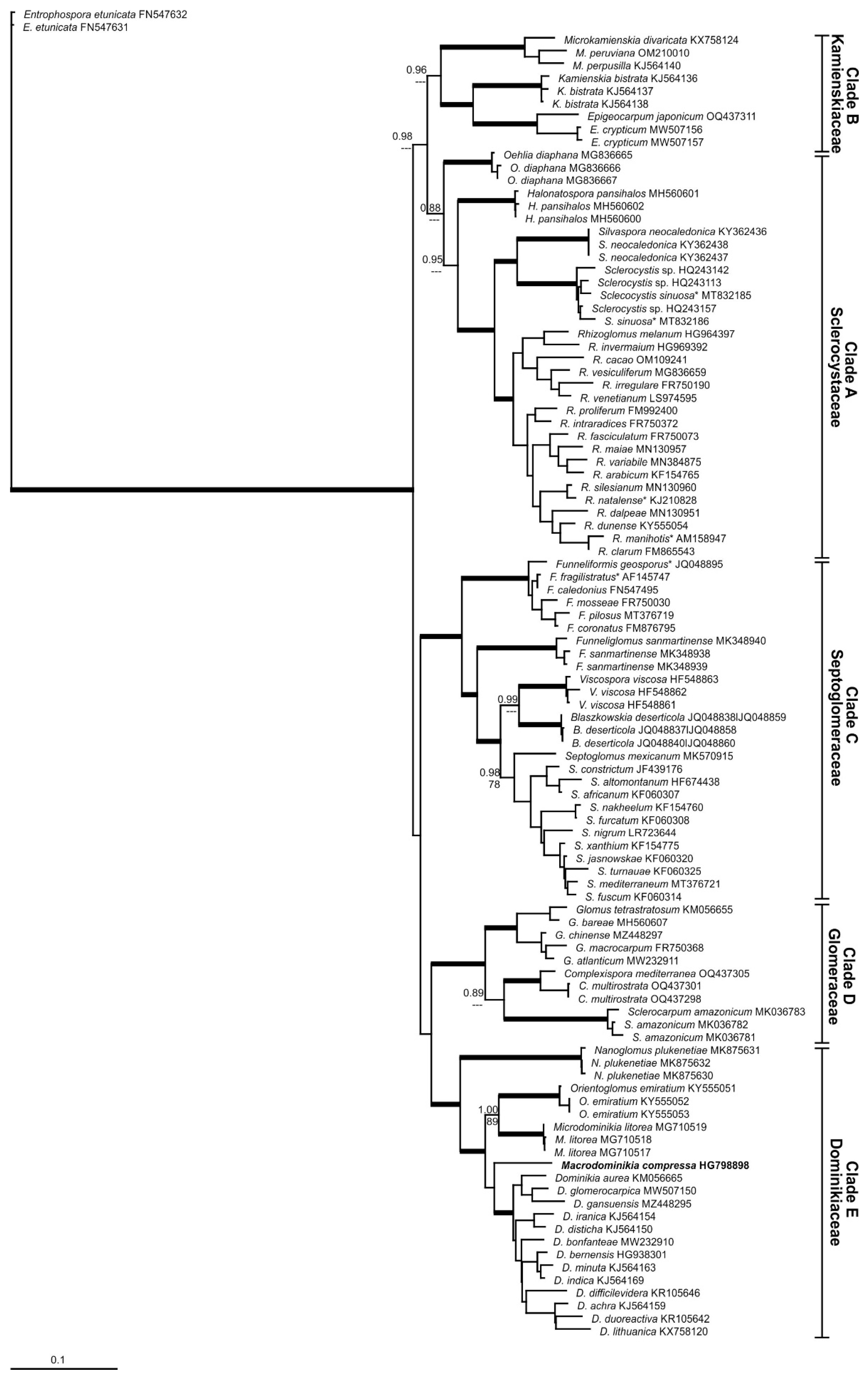 Preprints 115962 g002