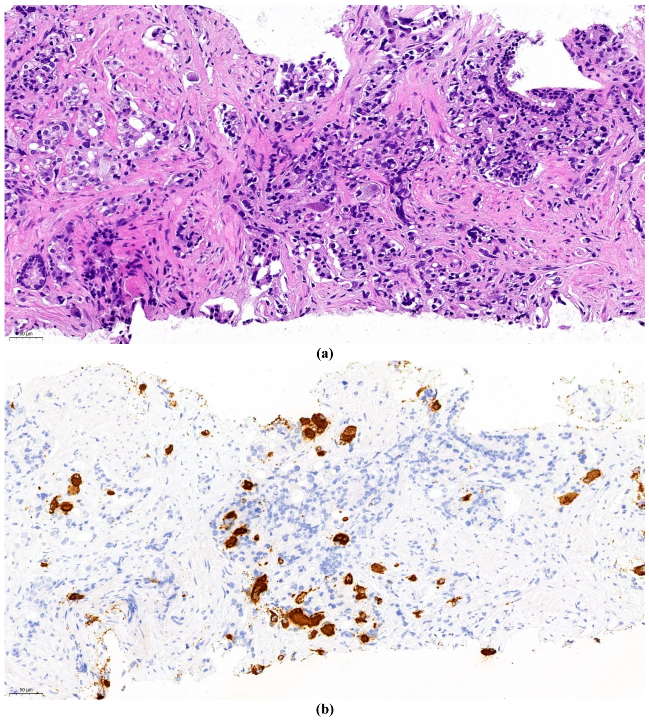 Preprints 90029 g002a