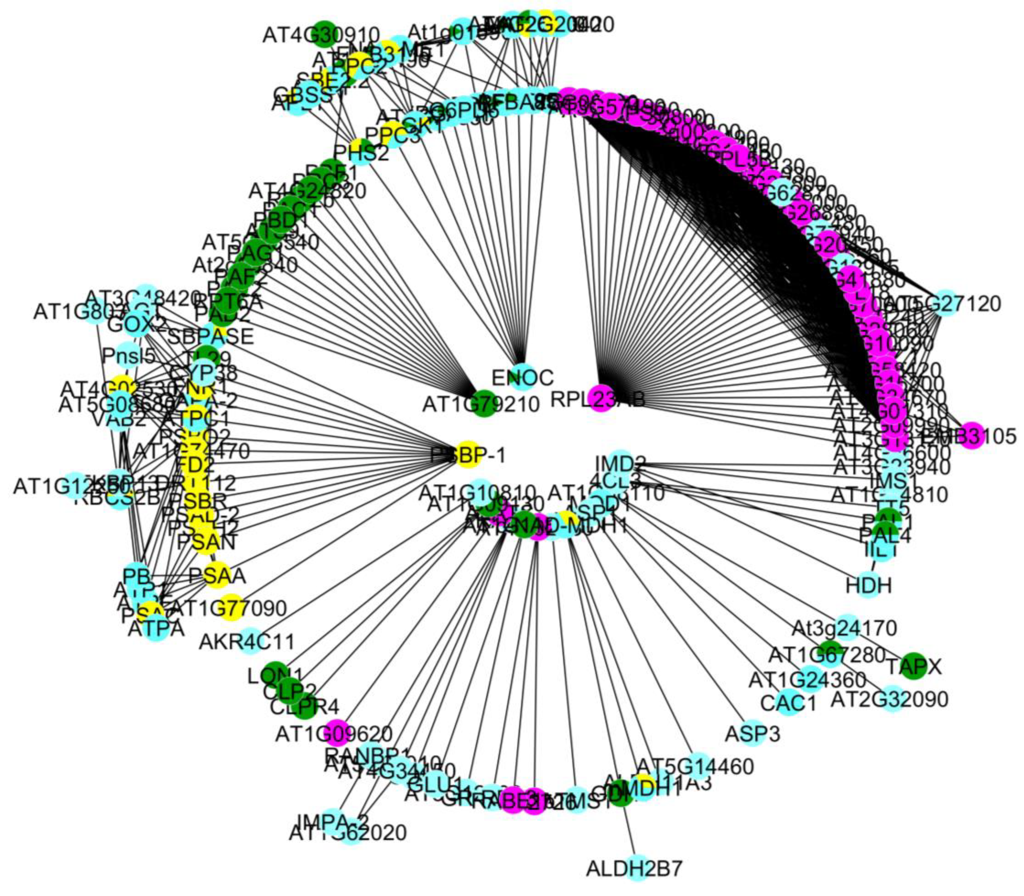 Preprints 70853 g001