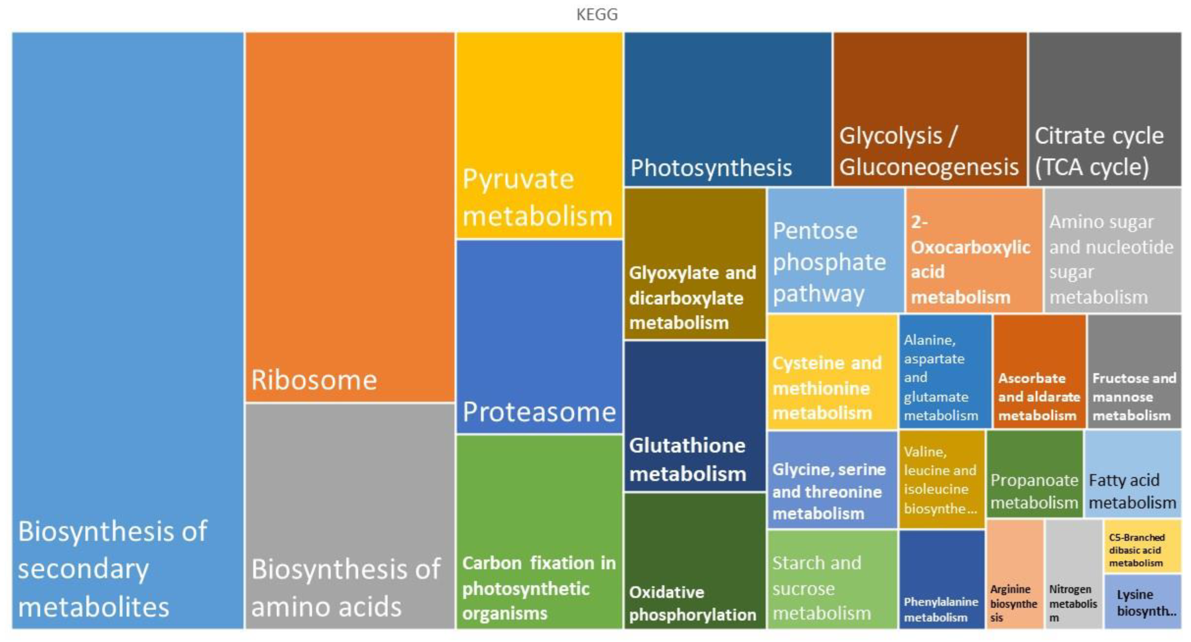 Preprints 70853 g002