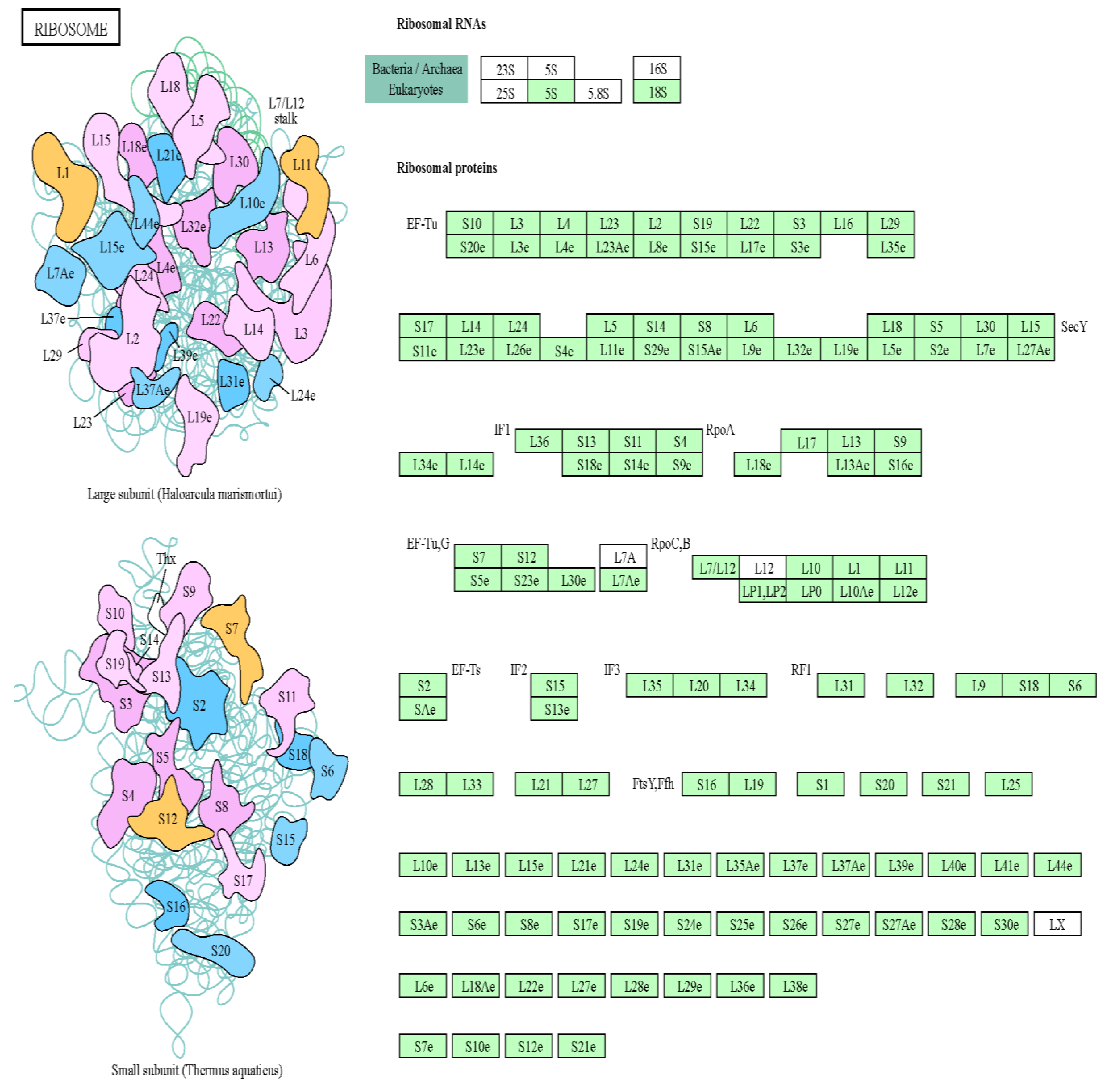 Preprints 70853 g003