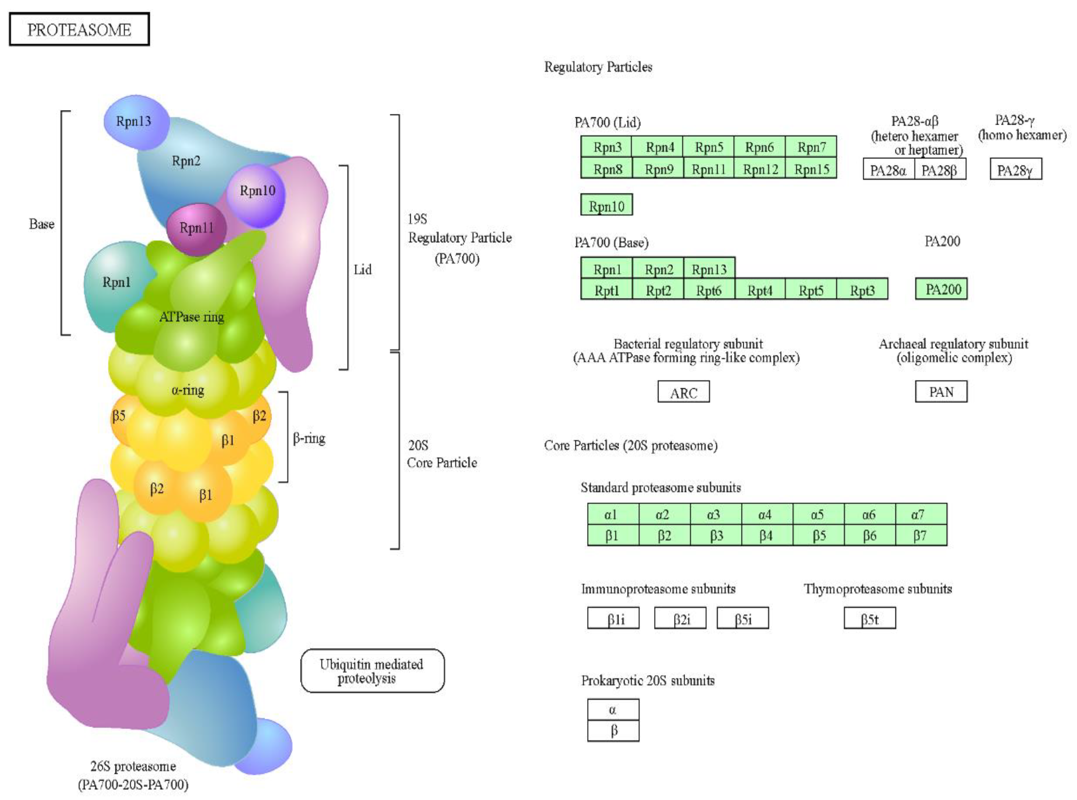 Preprints 70853 g004