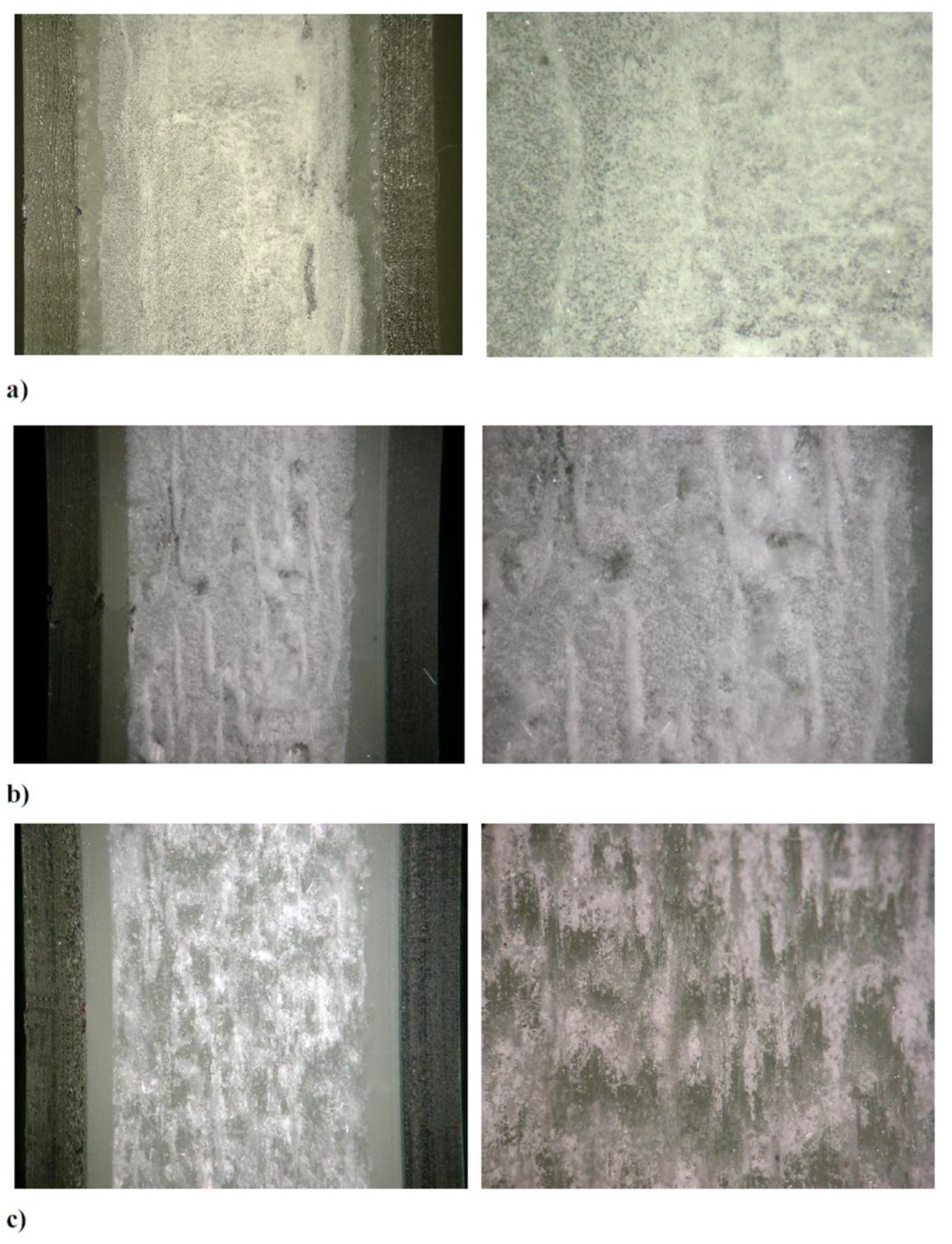 Preprints 102956 g023