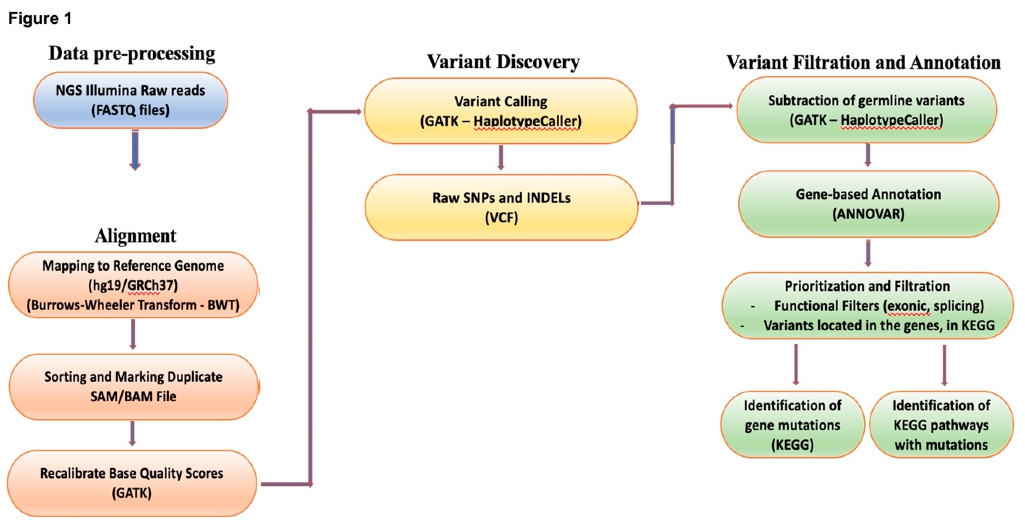 Preprints 82691 g001