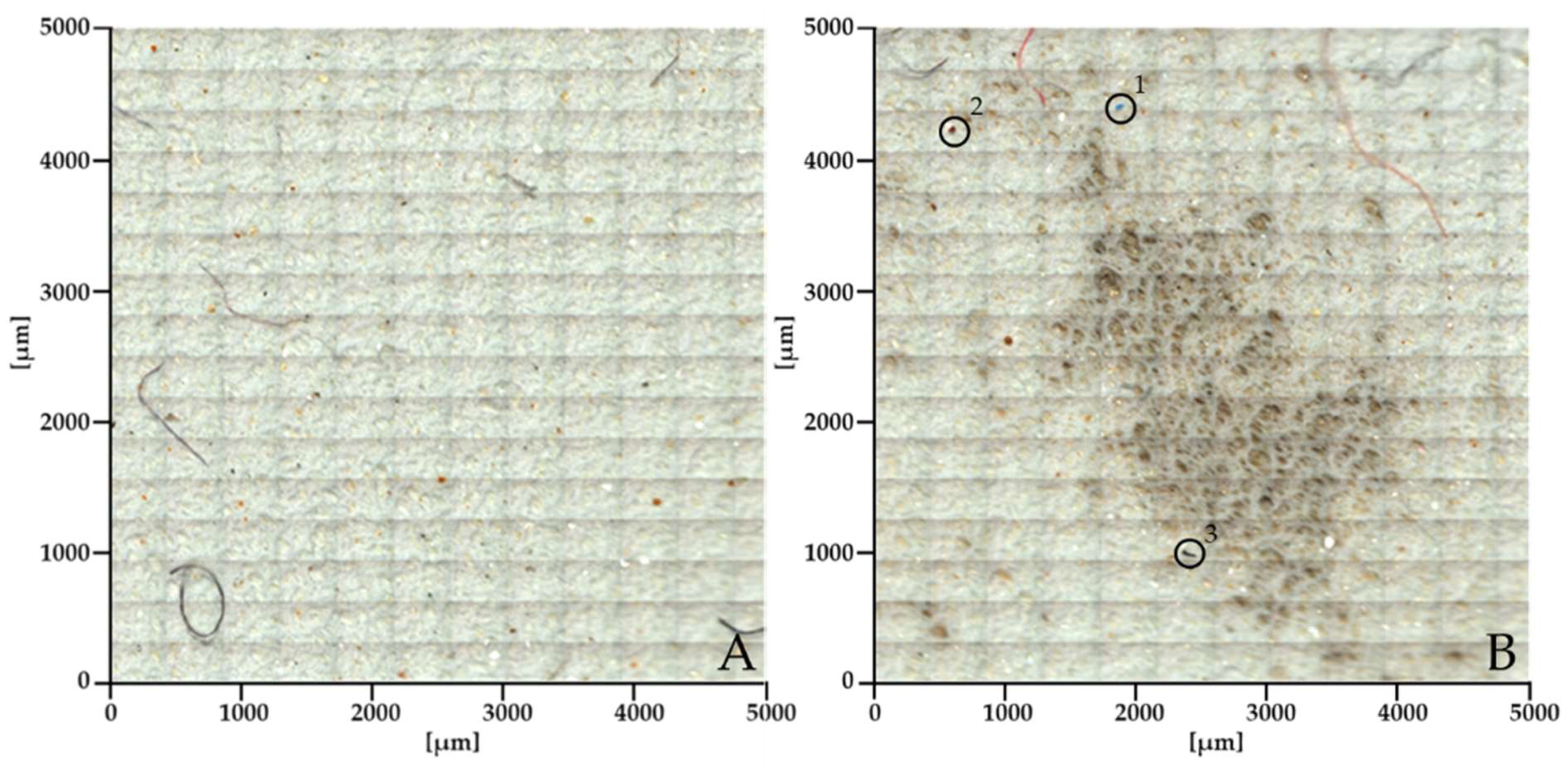 Preprints 117158 g002