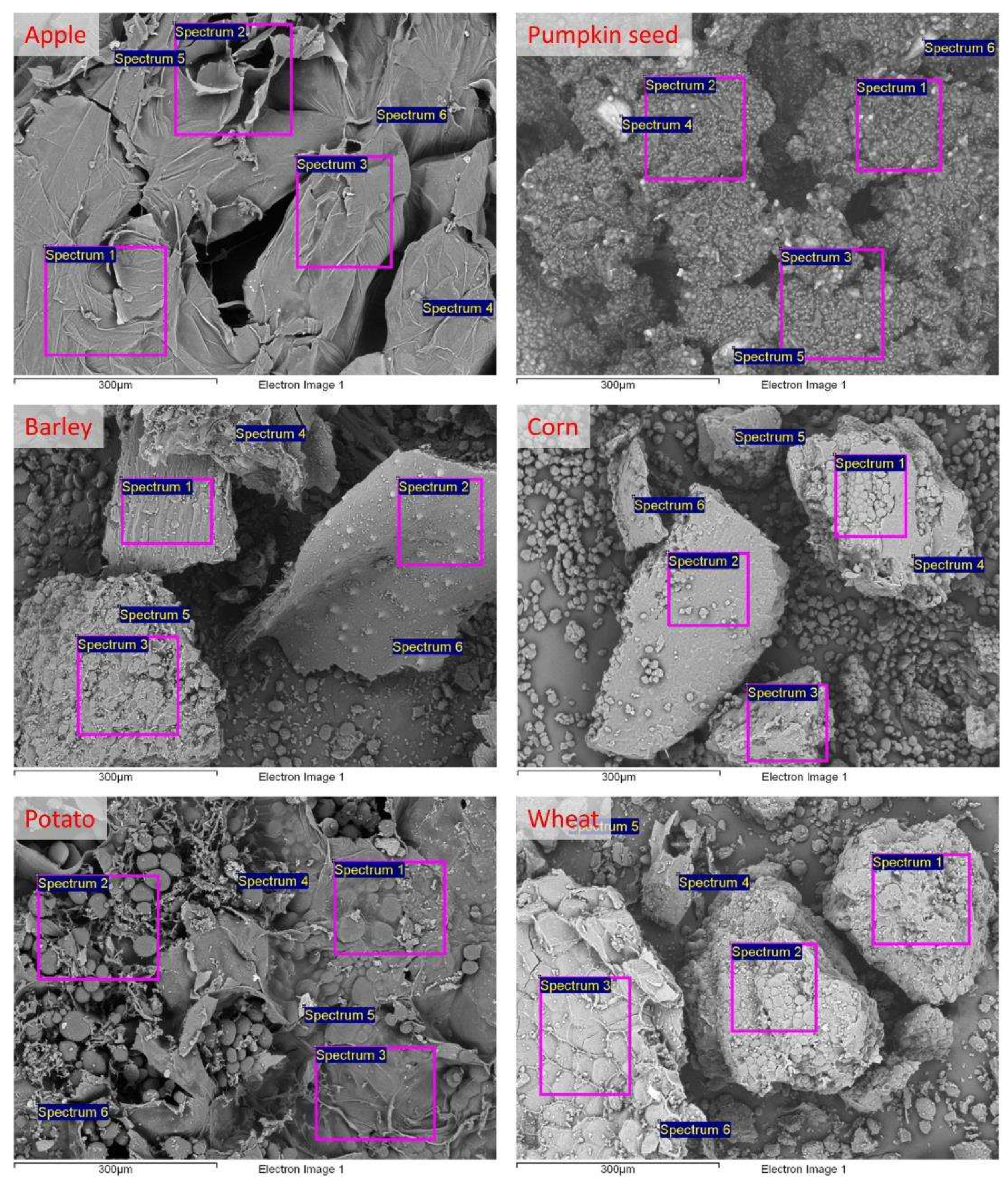 Preprints 117158 g003